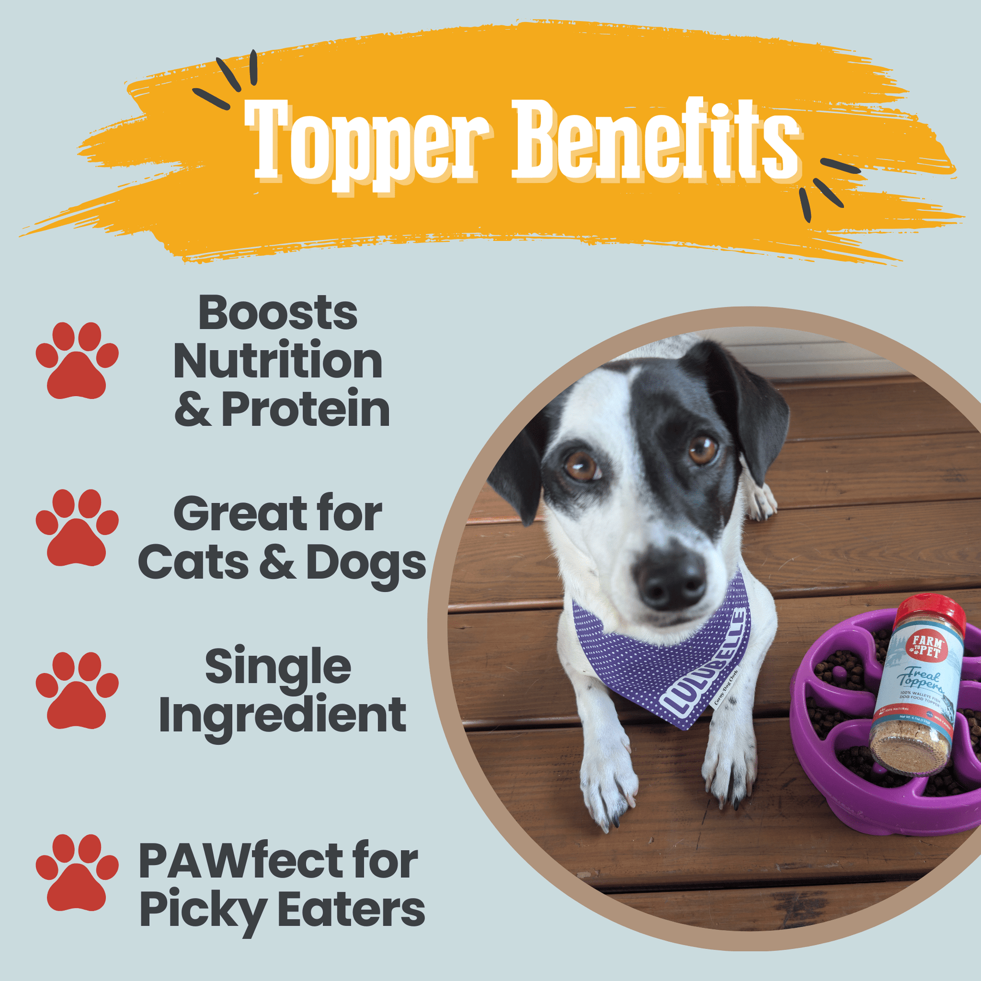 Treat Topper Fish Dog Food Topper | Low - Fat Meal Topper for Pets - Boske.store