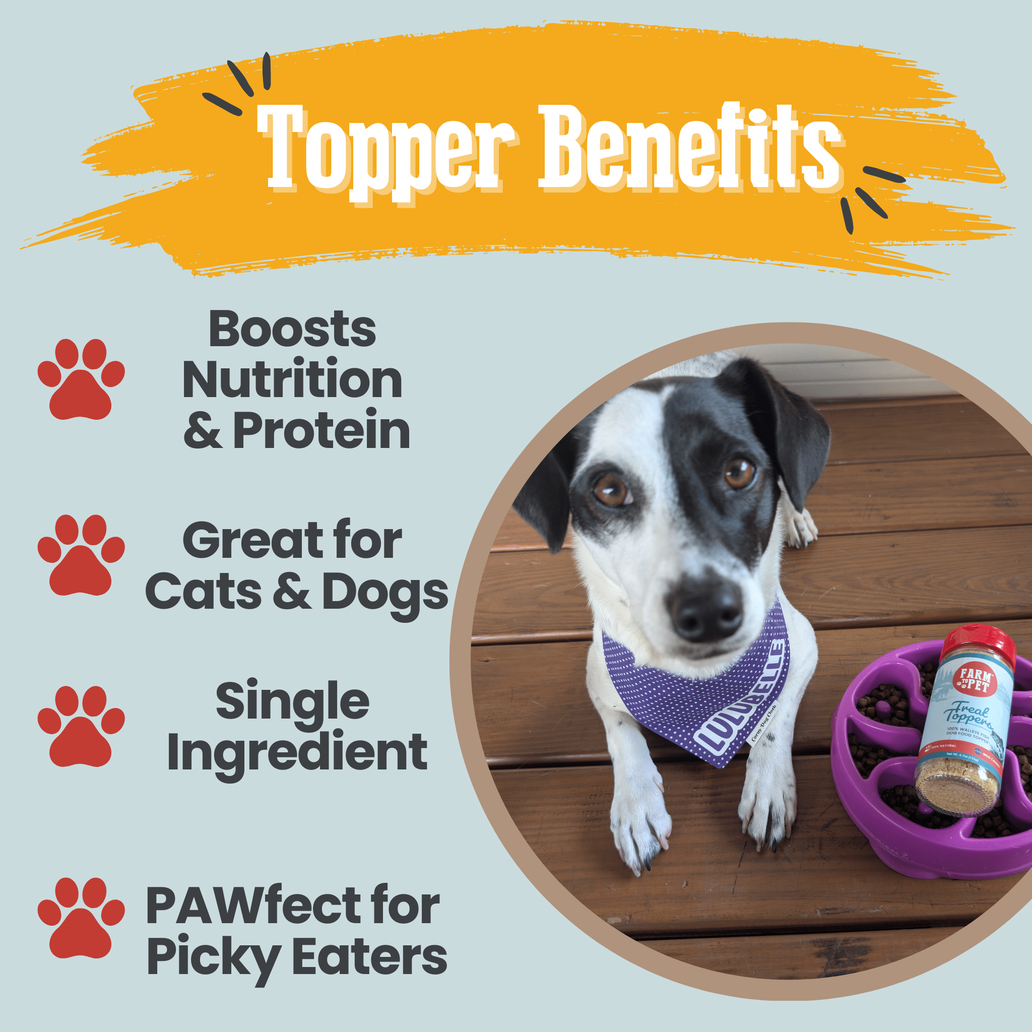 Treat Topper Fish Dog Food Topper | Low - Fat Meal Topper for Pets - Boske.store
