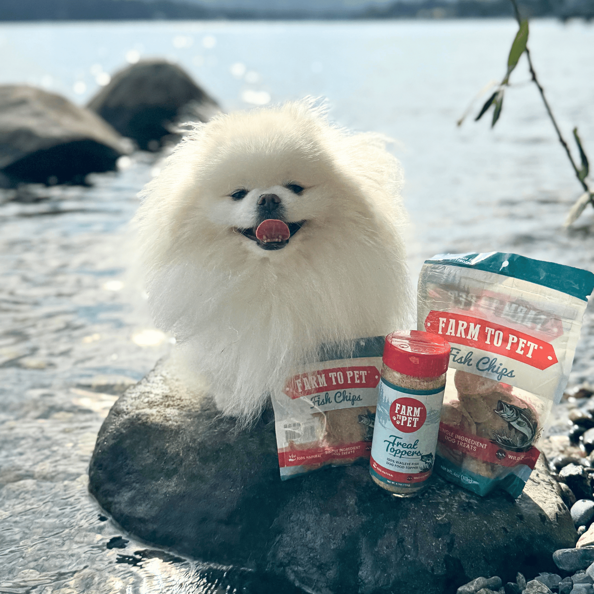 Treat Topper Fish Dog Food Topper | Low - Fat Meal Topper for Pets - Boske.store