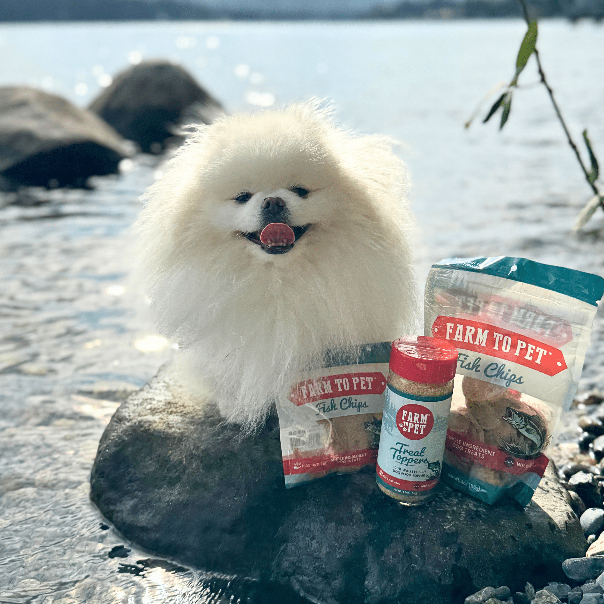 Treat Topper Fish Dog Food Topper | Low - Fat Meal Topper for Pets - Boske.store