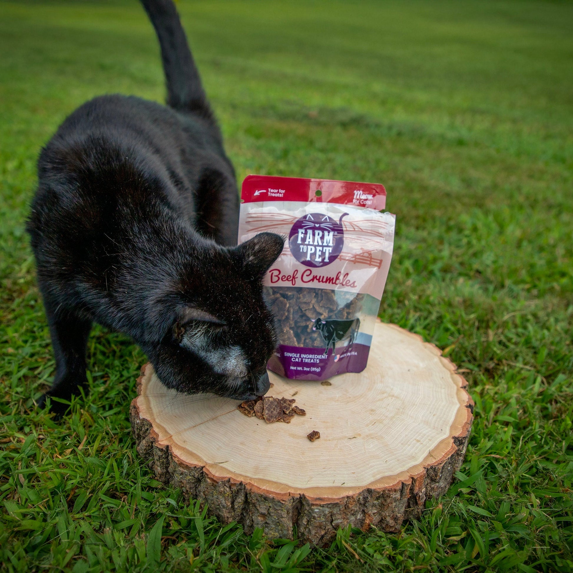 Beef Crumbles Cat Treats | High Protein Treats for Cats - Boske.store