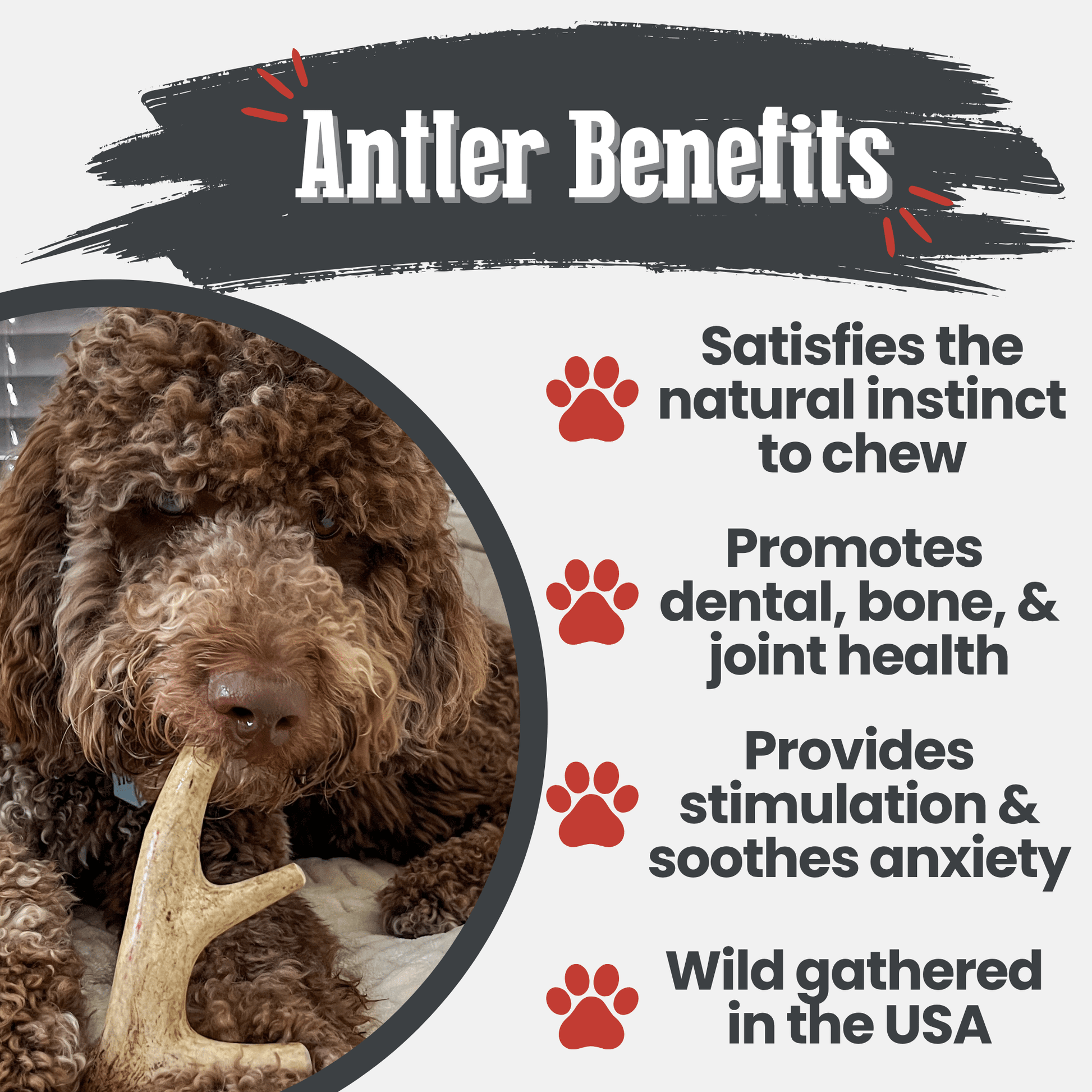 Deer Antler Dog Chews | Organic Chews for Dogs - Boske.store