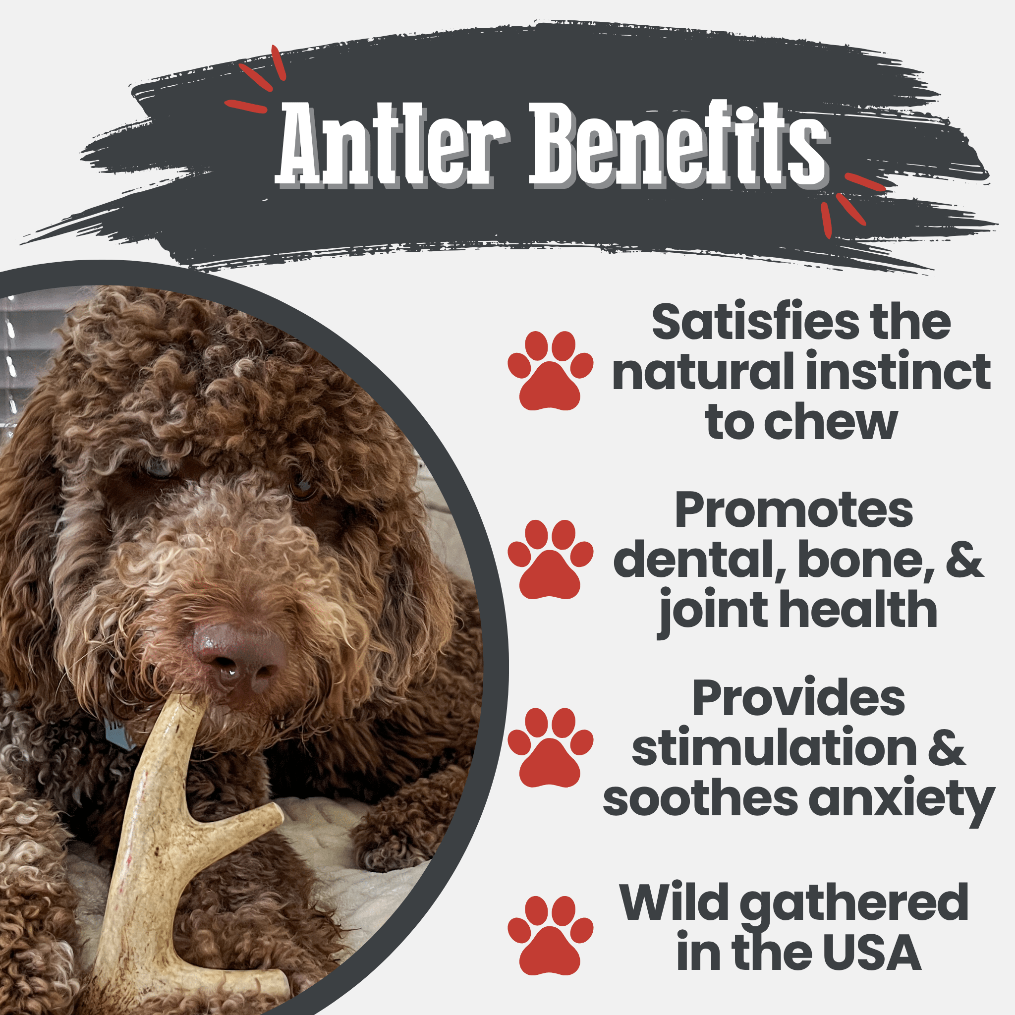 Deer Antler Dog Chews | Organic Chews for Dogs - Boske.store