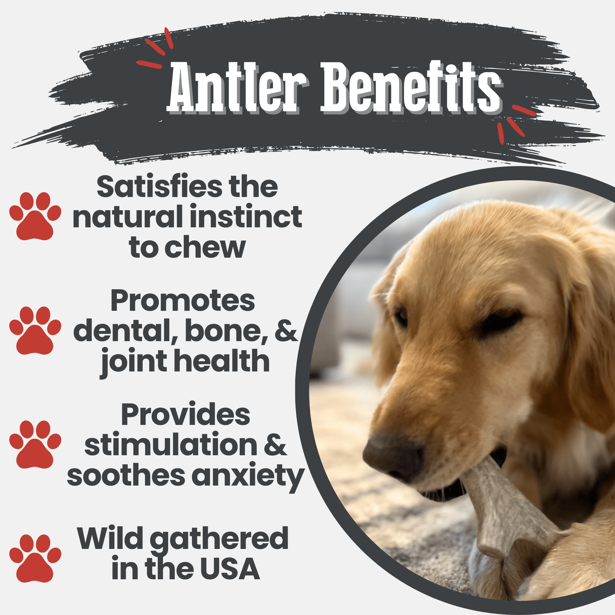 Deer Antler Dog Chews | Organic Chews for Dogs - Boske.store