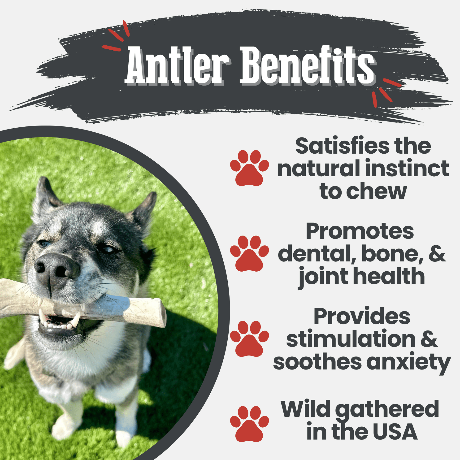 Reindeer Antler Dog Chews | Organic Chews for Dogs - Boske.store