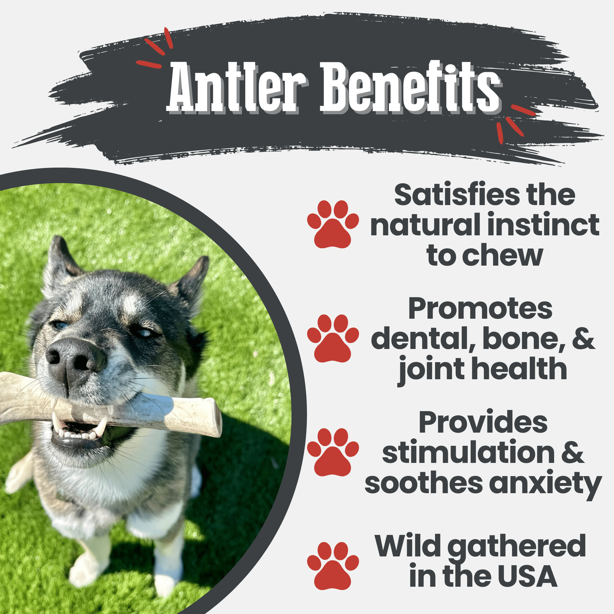 Reindeer Antler Dog Chews | Organic Chews for Dogs - Boske.store