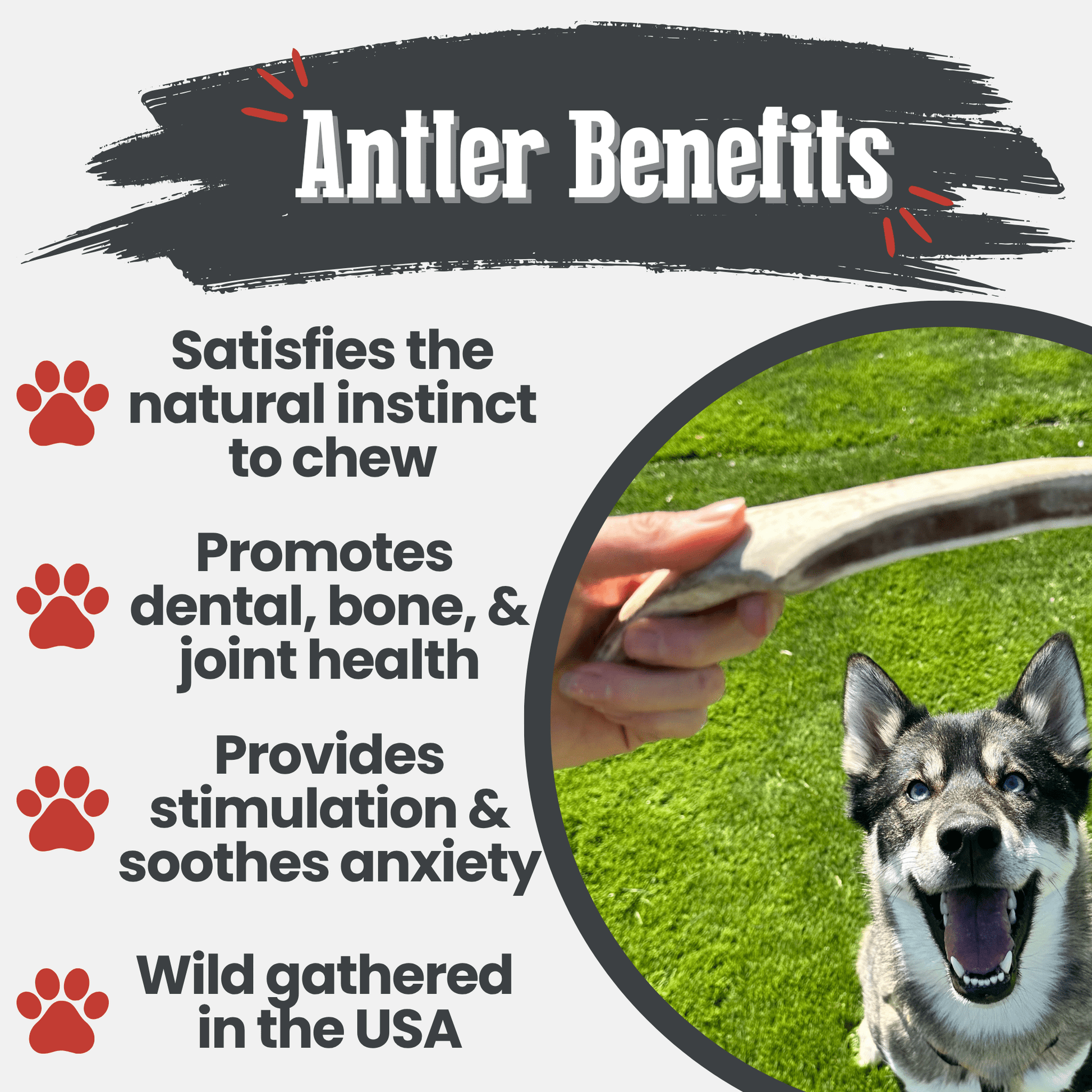 Reindeer Antler Dog Chews | Organic Chews for Dogs - Boske.store
