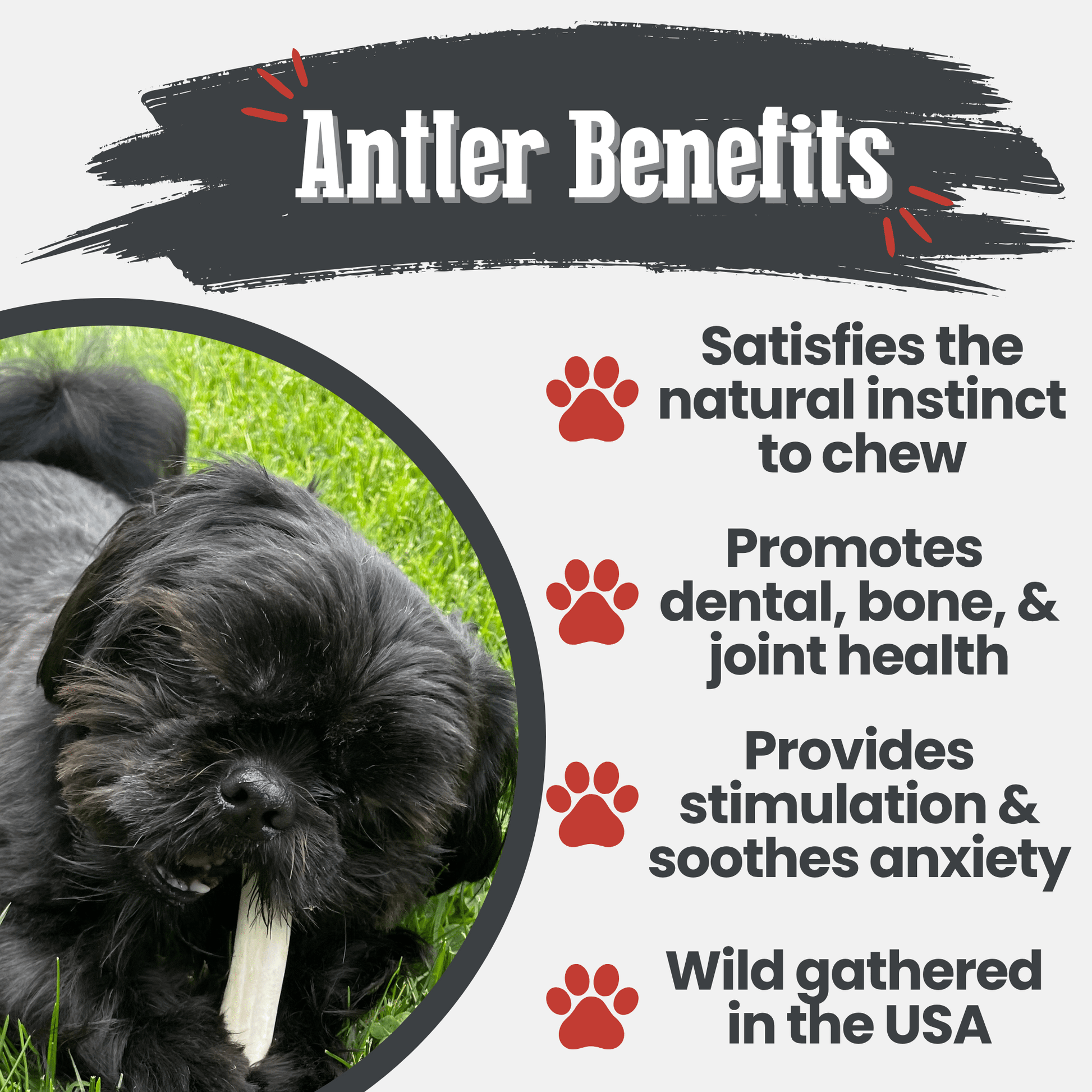 Reindeer Antler Dog Chews | Organic Chews for Dogs - Boske.store