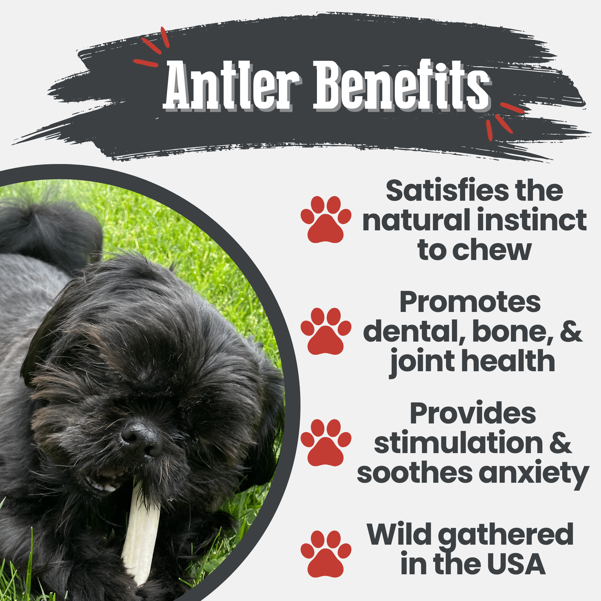 Reindeer Antler Dog Chews | Organic Chews for Dogs - Boske.store
