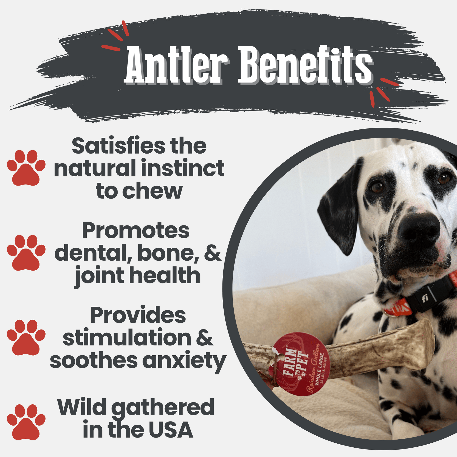 Reindeer Antler Dog Chews | Organic Chews for Dogs - Boske.store