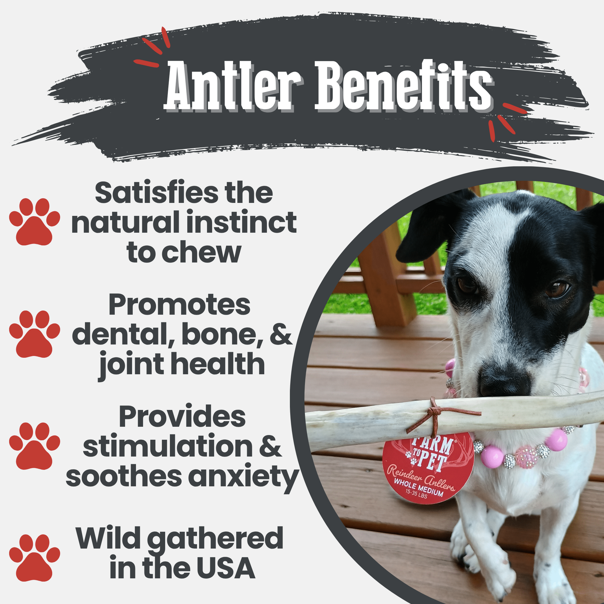 Reindeer Antler Dog Chews | Organic Chews for Dogs - Boske.store