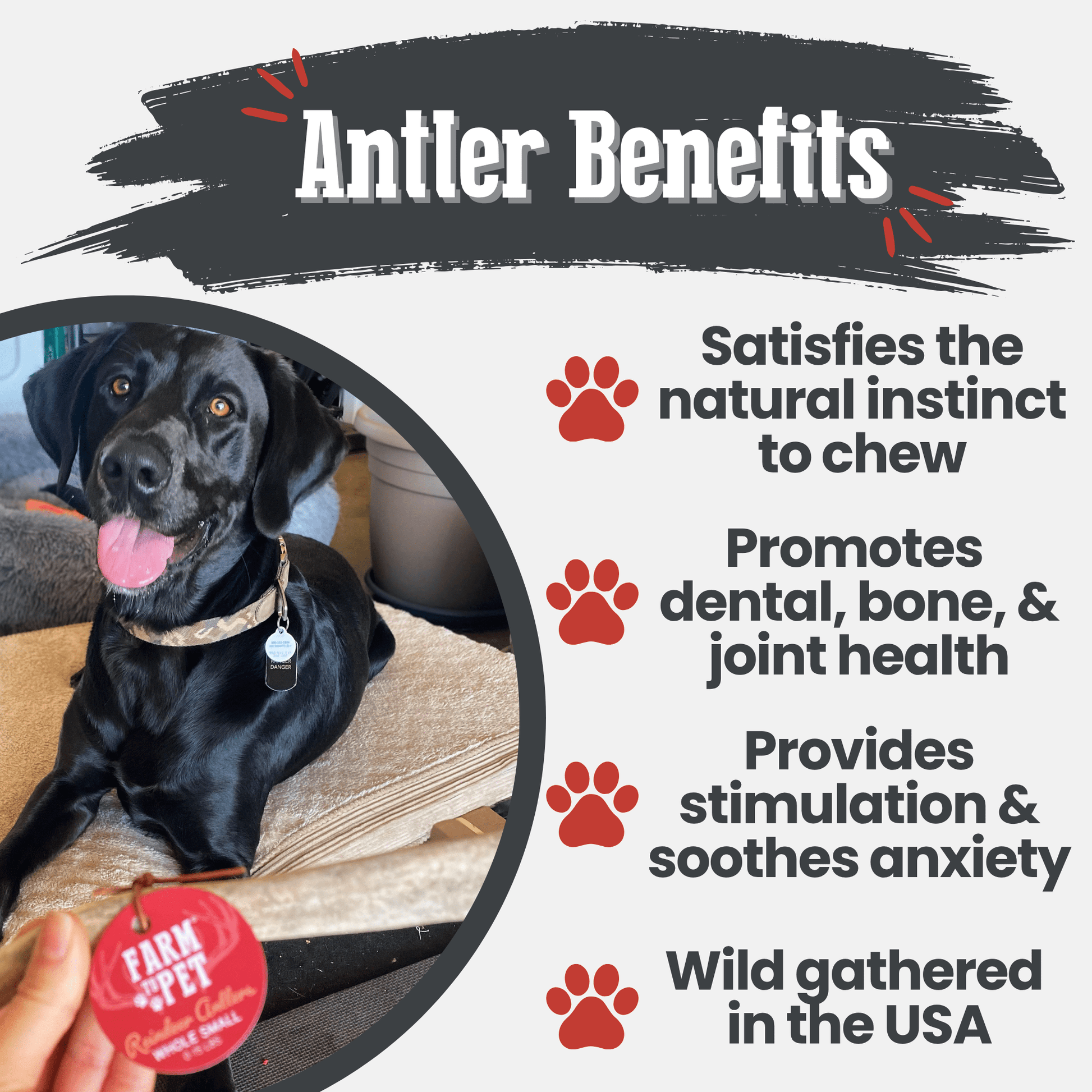 Reindeer Antler Dog Chews | Organic Chews for Dogs - Boske.store