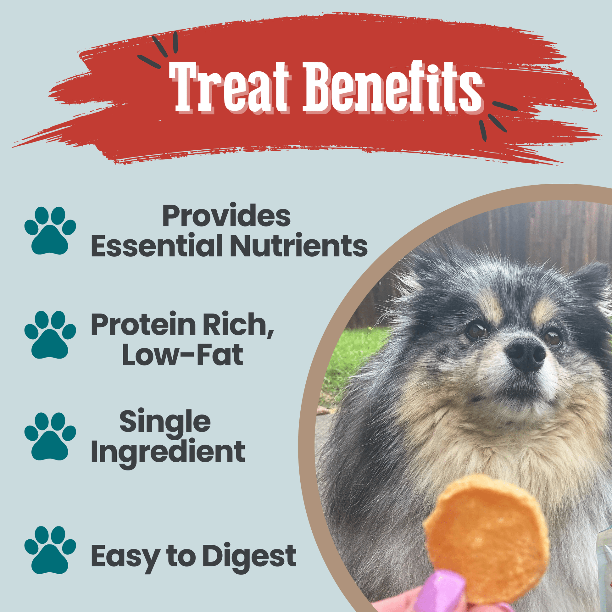 Fish Chips Snack Pack Bundles | Dog Treats for Training & Travel - Boske.store