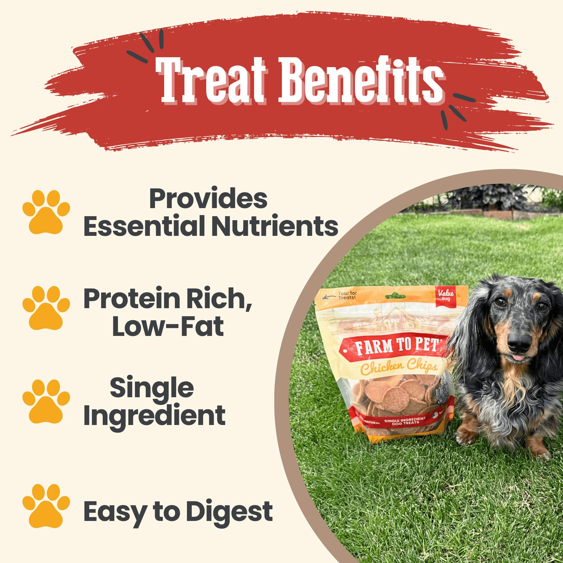 Chicken Chips for Dogs | All - Natural Single - Ingredient Dog Treats - Boske.store