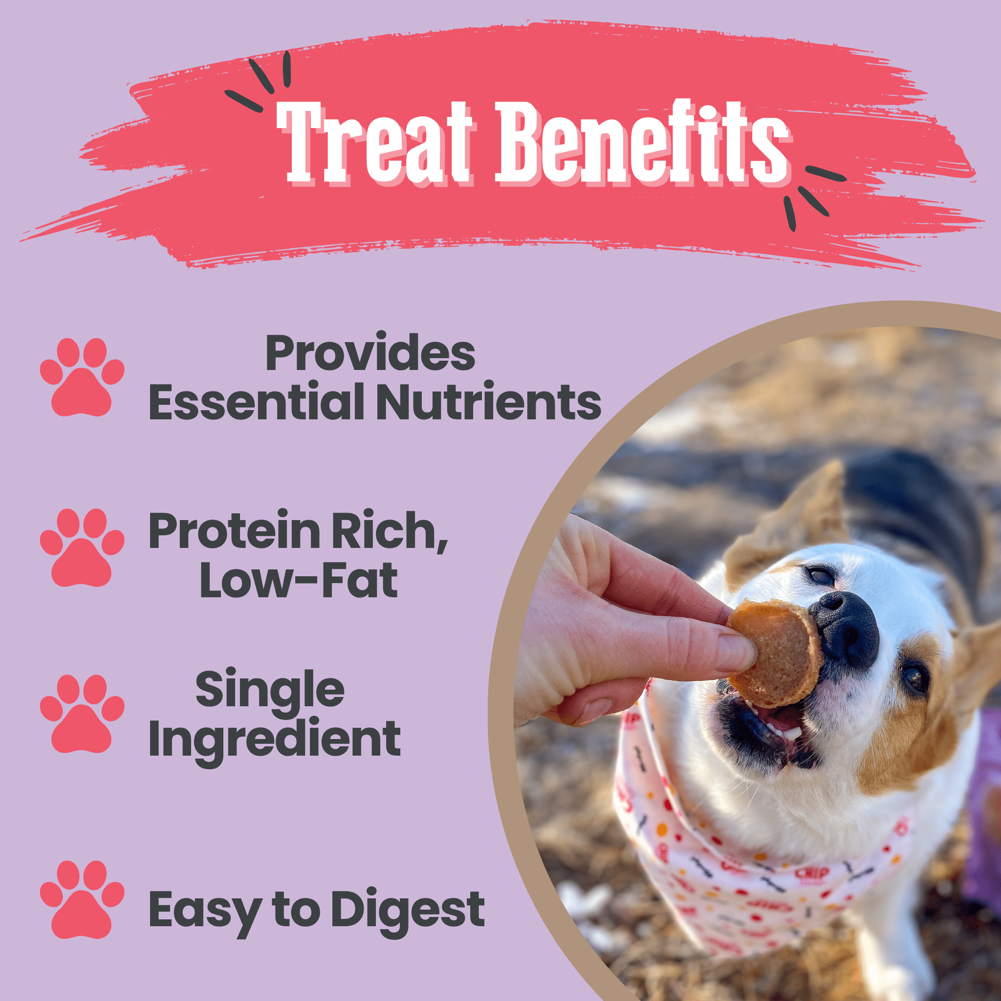 Puppy Love Dog Treat Duo | Poultry Chip Variety Pack - Boske.store