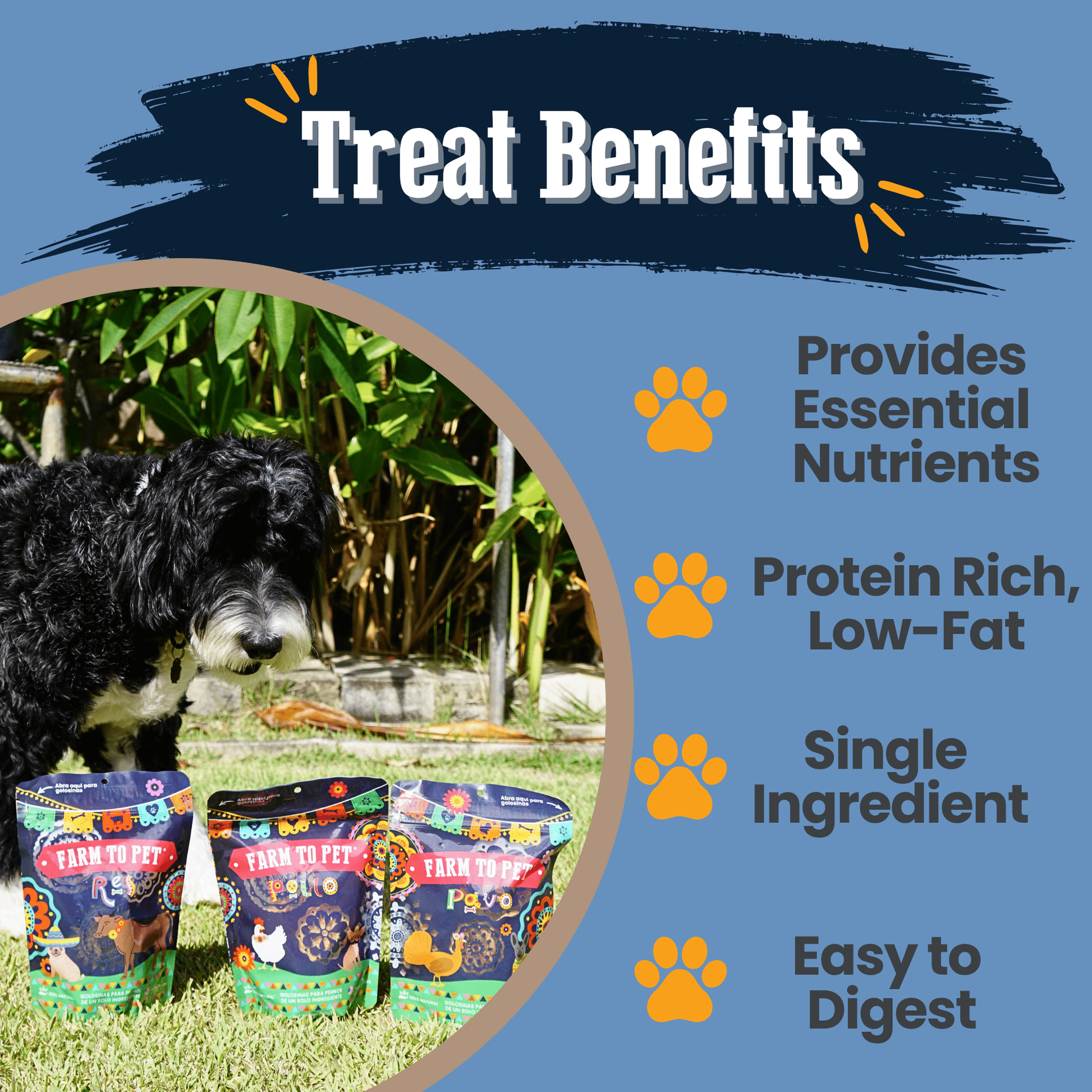 Premios Para Perros Fiesta Pack | Dog Treat Variety Bundle - Boske.store