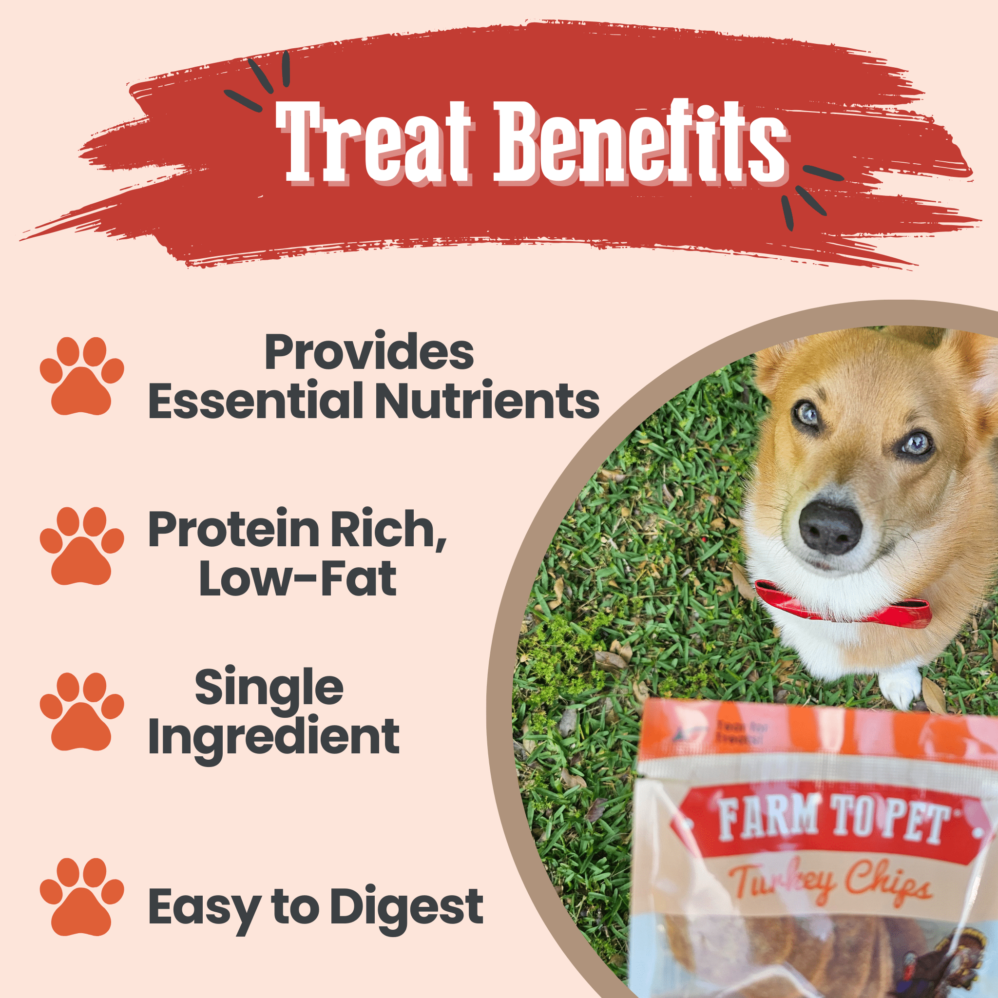 Turkey Chips Snack Pack Bundles | Low Allergen Treats for Training - Boske.store