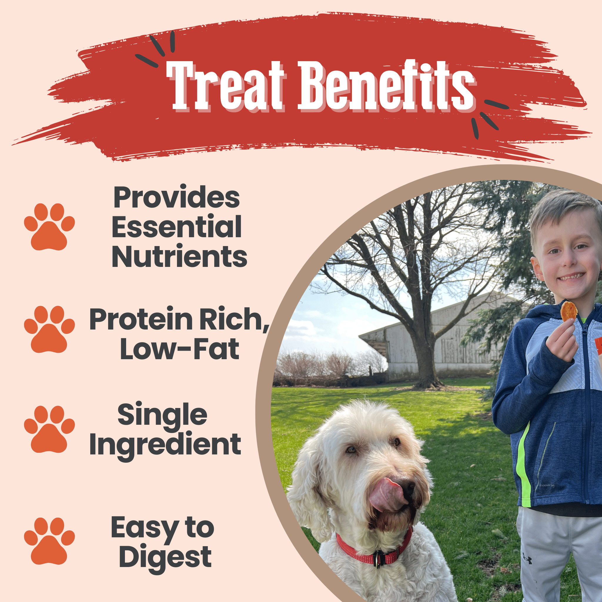 Turkey Chips for Dogs | All - Natural Single - Ingredient Healthy Dog Treats - Boske.store
