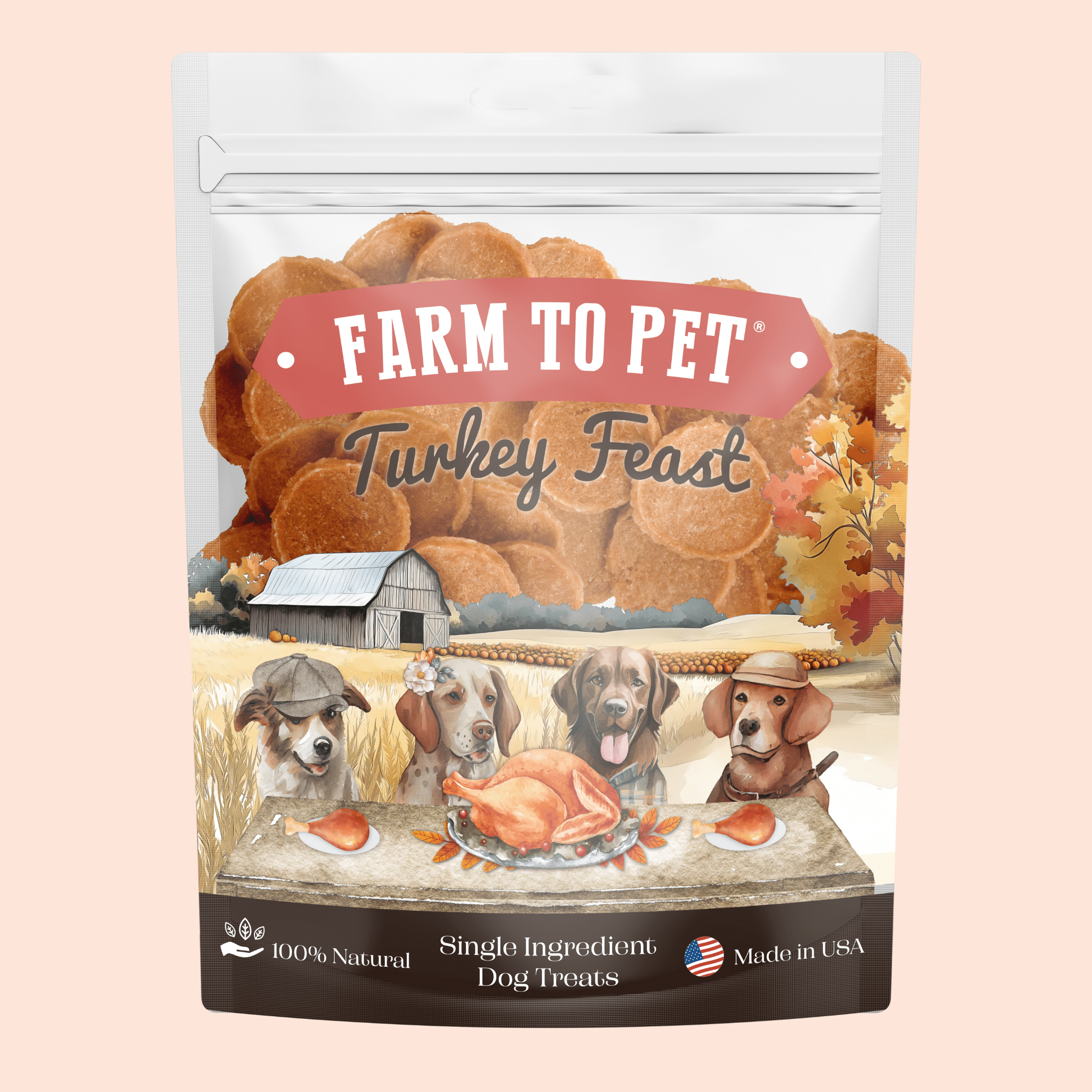 Turkey Feast Turkey Chips - Boske.store