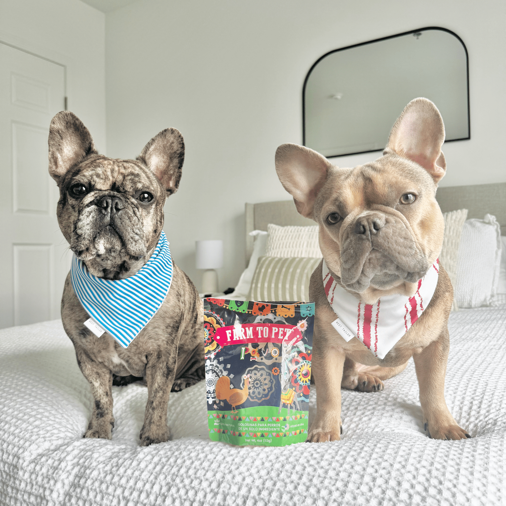 Premios Para Perros Fiesta Pack | Dog Treat Variety Bundle - Boske.store