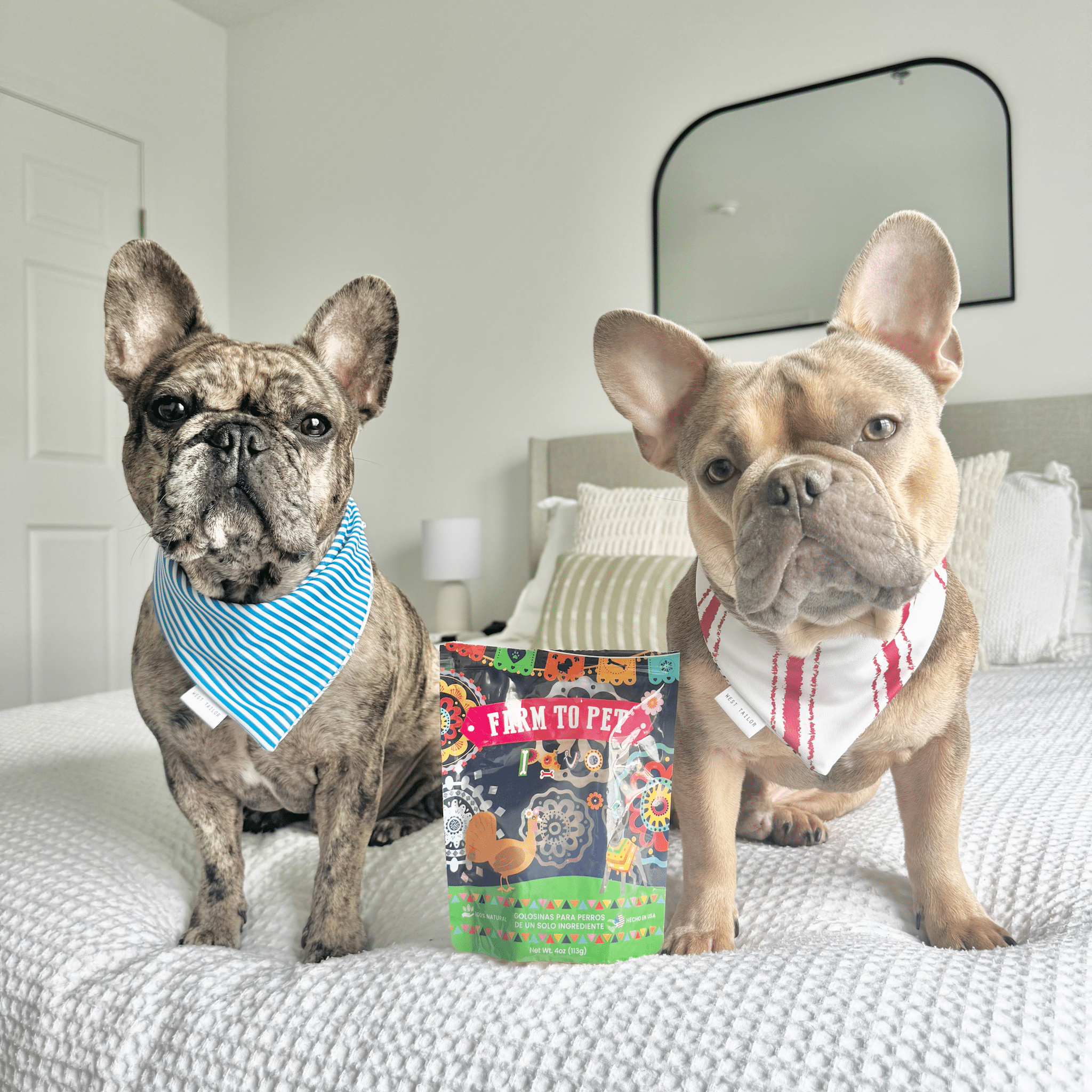 Premios Para Perros Fiesta Pack | Dog Treat Variety Bundle - Boske.store