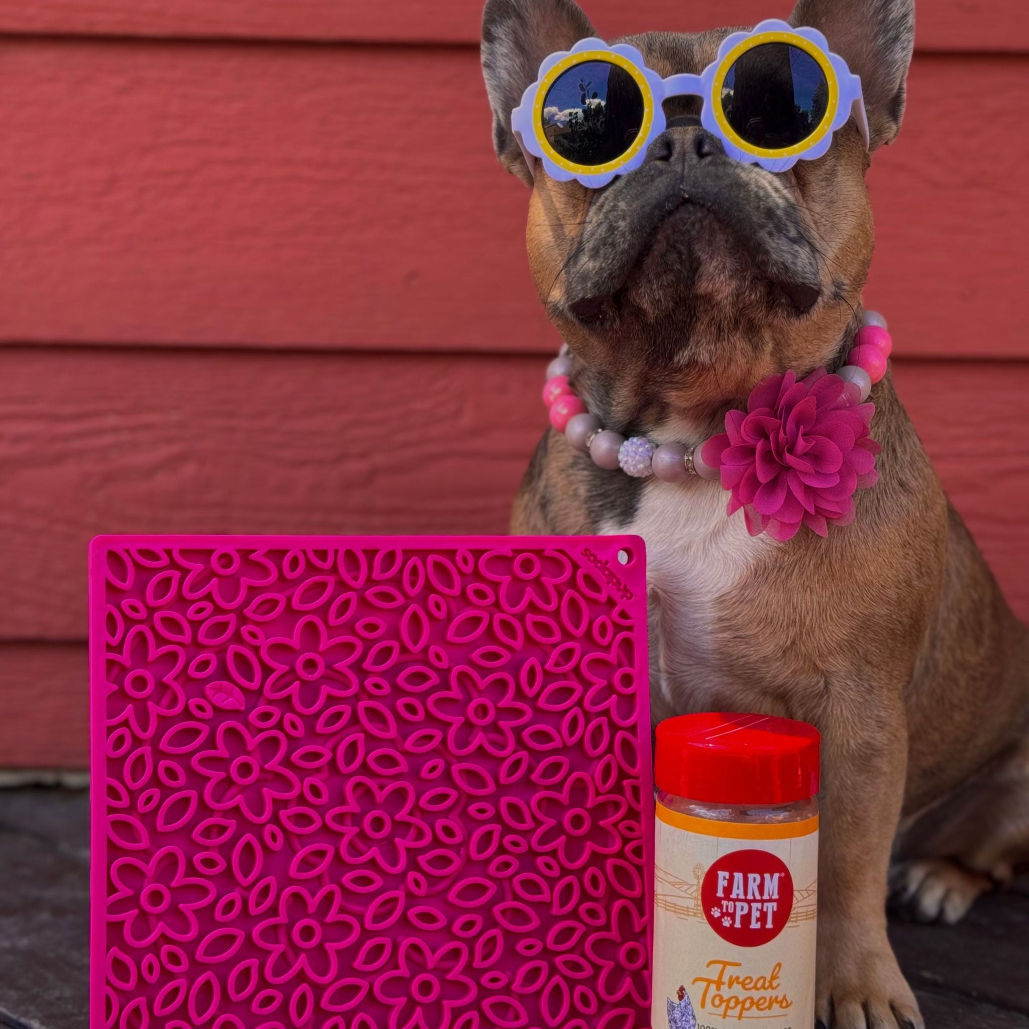 Dog Lick Mats - Boske.store