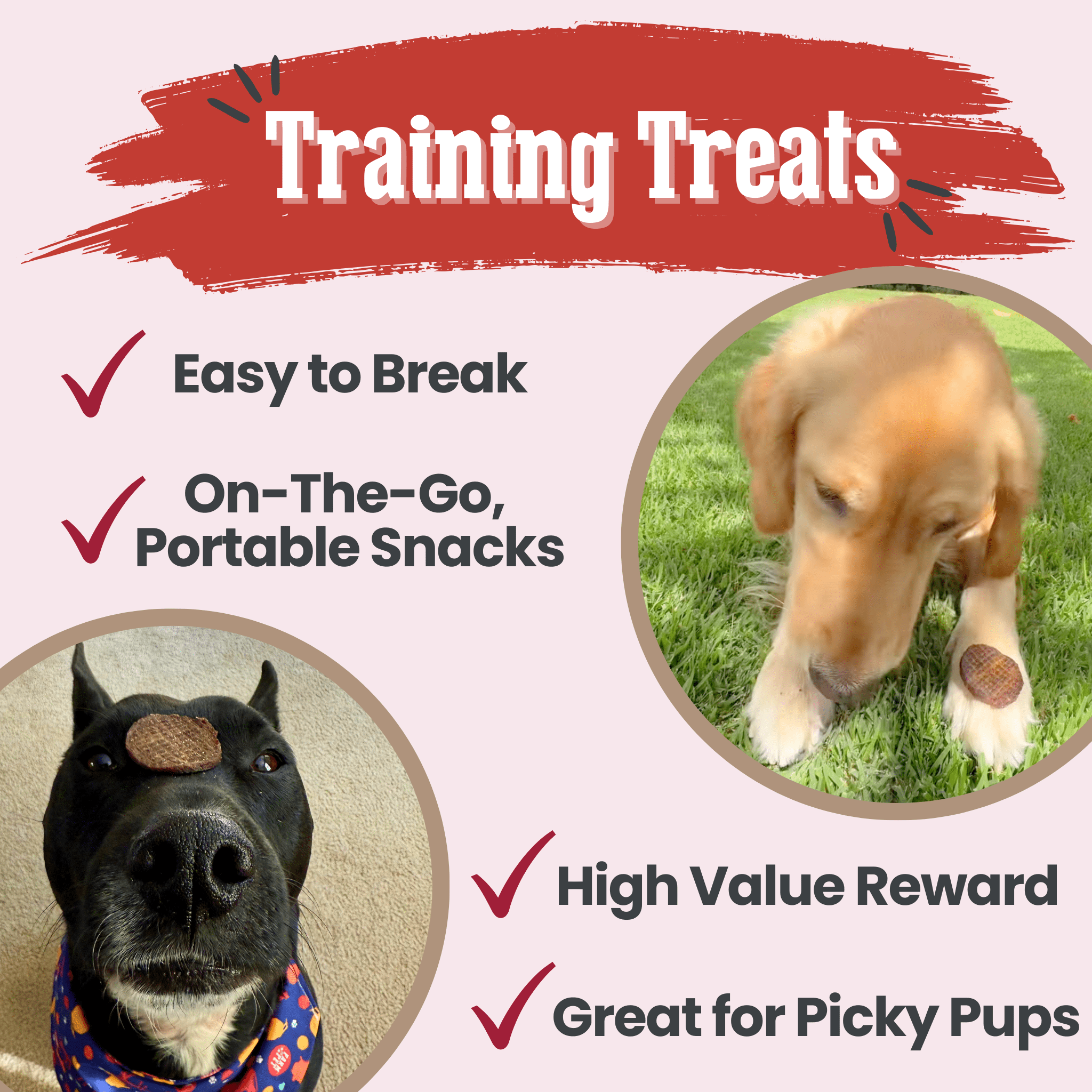 Beef Chips Dog Treats | Single - Ingredient Healthy Treats for Dogs - Boske.store