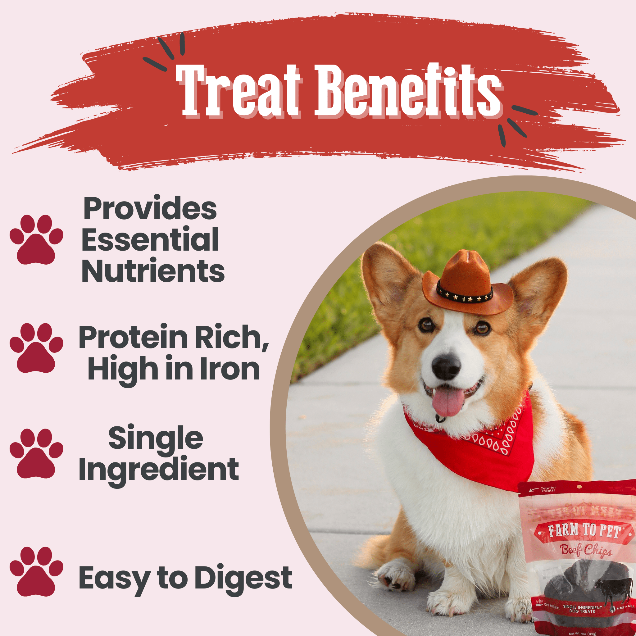 Beef Chips Dog Treats | Single - Ingredient Healthy Treats for Dogs - Boske.store