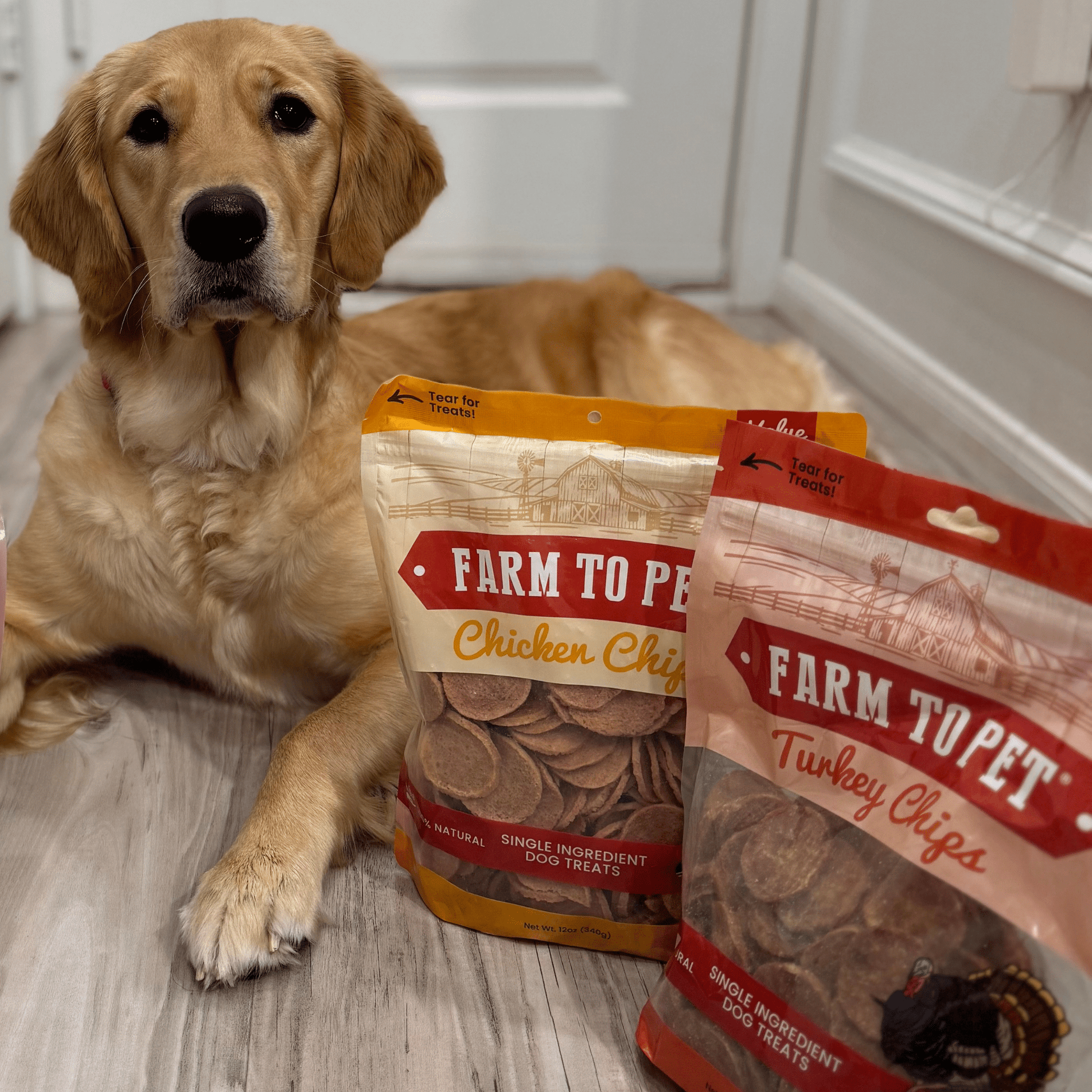 Turkey & Chicken Chip Dog Treat Duo | Single - Ingredient Poultry Treats for Dogs - Boske.store