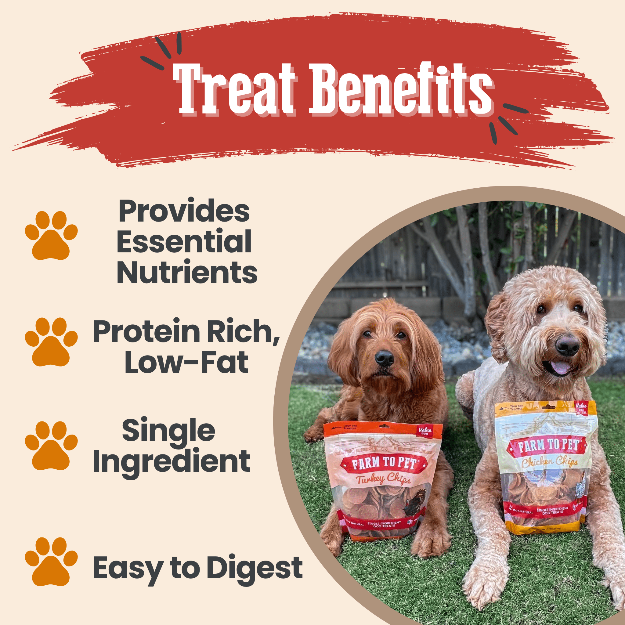 Turkey & Chicken Chip Dog Treat Duo | Single - Ingredient Poultry Treats for Dogs - Boske.store