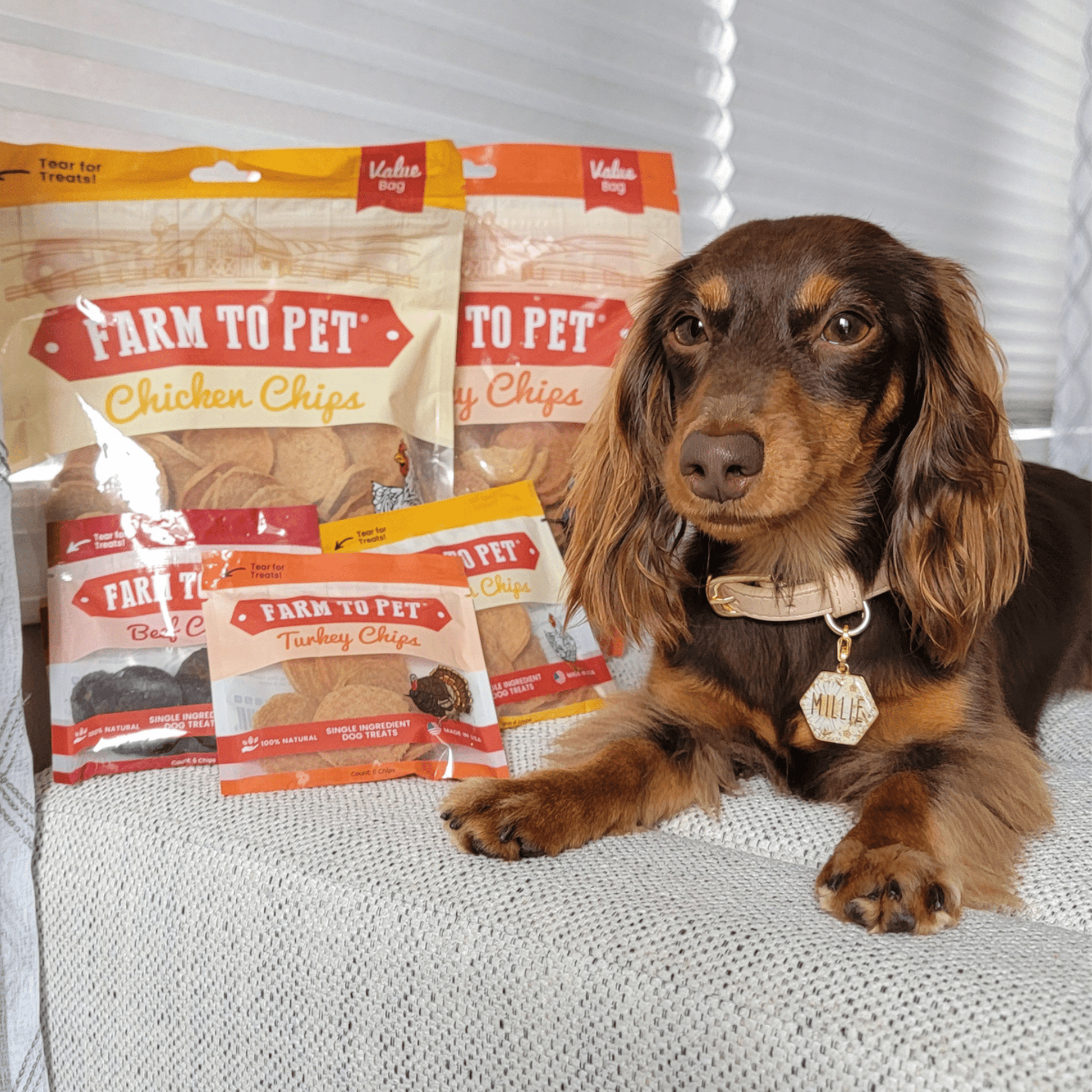 Turkey & Chicken Chip Dog Treat Duo | Single - Ingredient Poultry Treats for Dogs - Boske.store