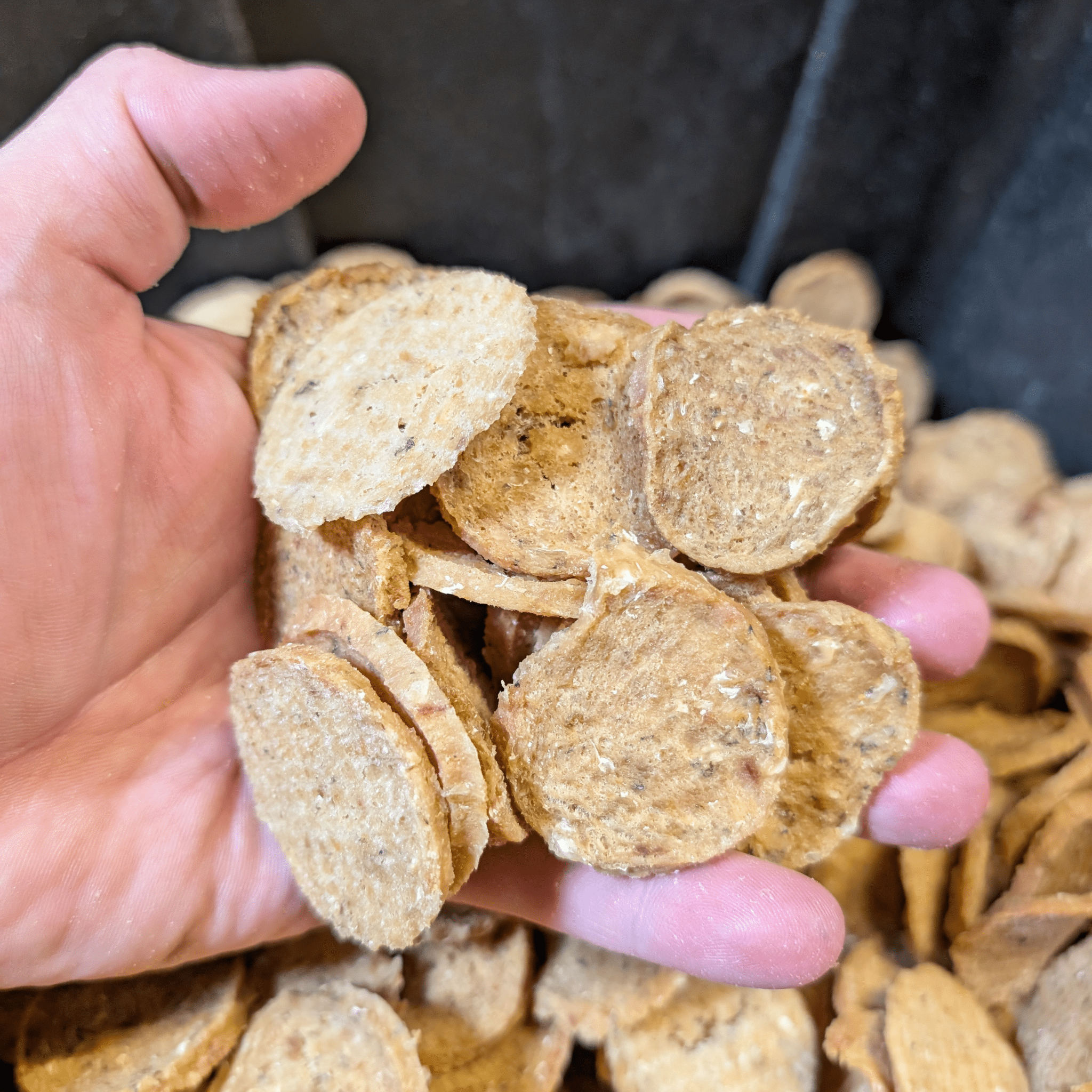 Fish Chips for Dogs | Wild - Caught Fish Dog Treats - Boske.store