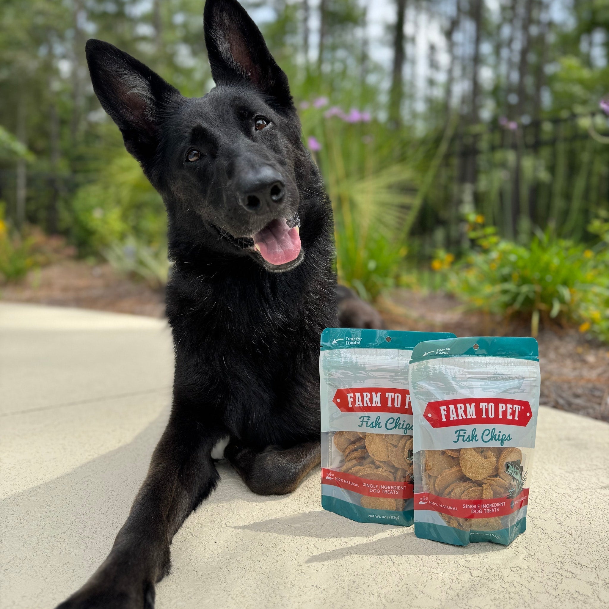 Fish Chips for Dogs | Wild - Caught Fish Dog Treats - Boske.store