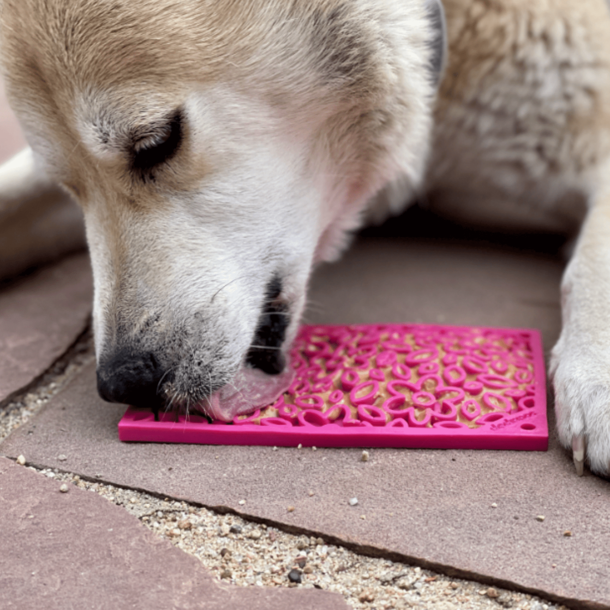 Lick Mats for Cats and Small Dogs - Boske.store