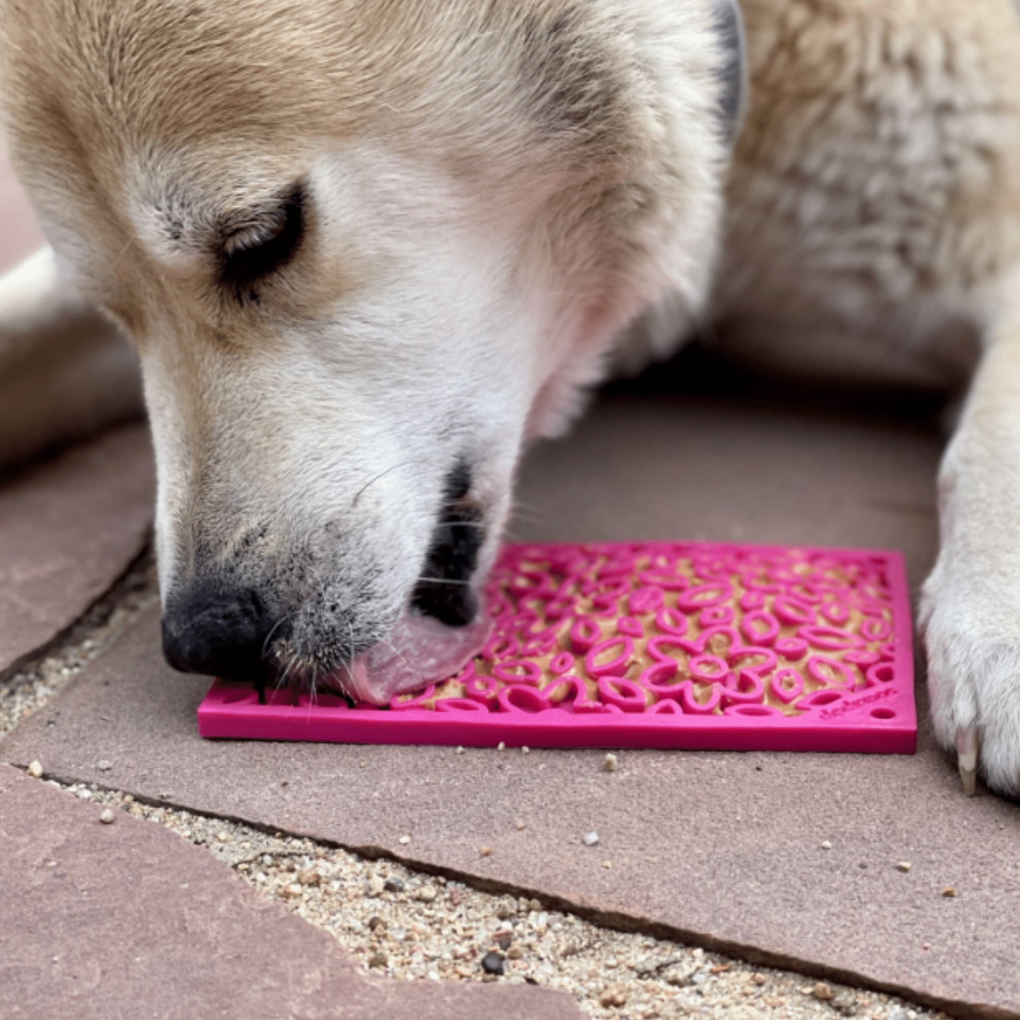 Lick Mats for Cats and Small Dogs - Boske.store