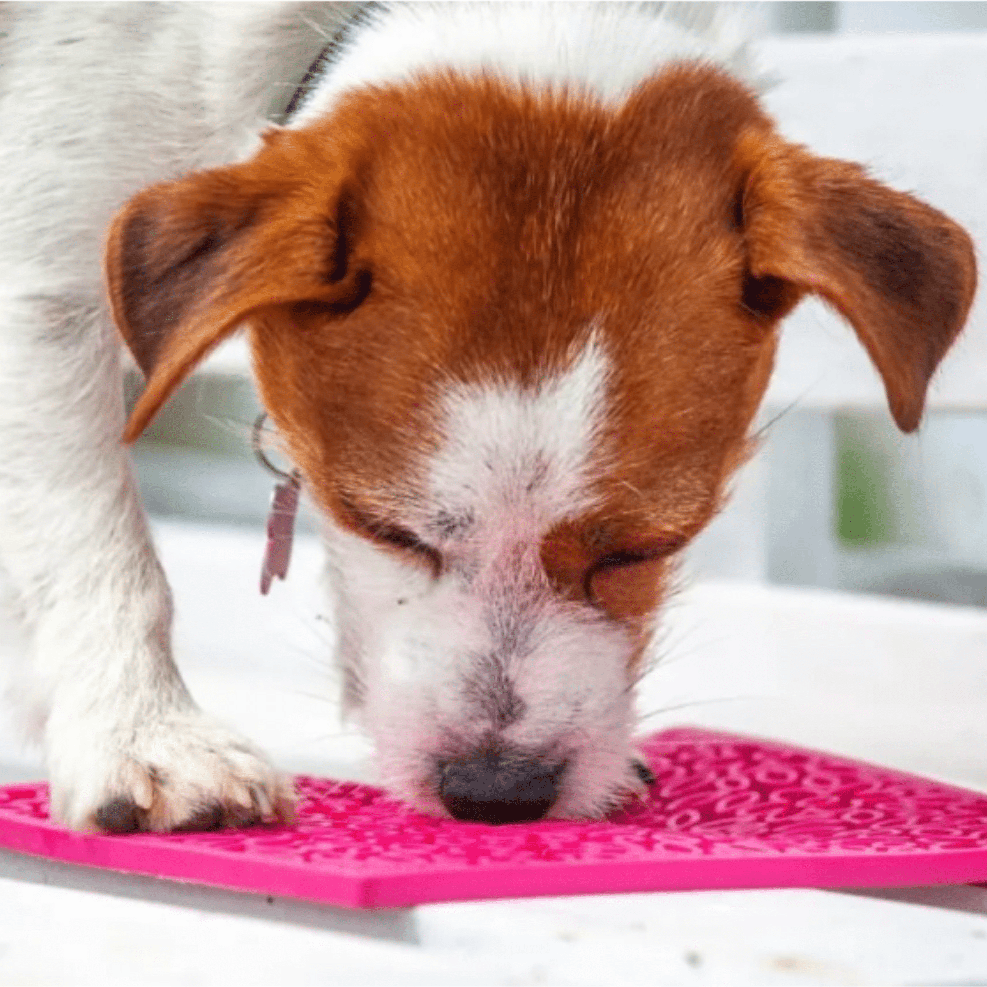 Lick Mats for Cats and Small Dogs - Boske.store