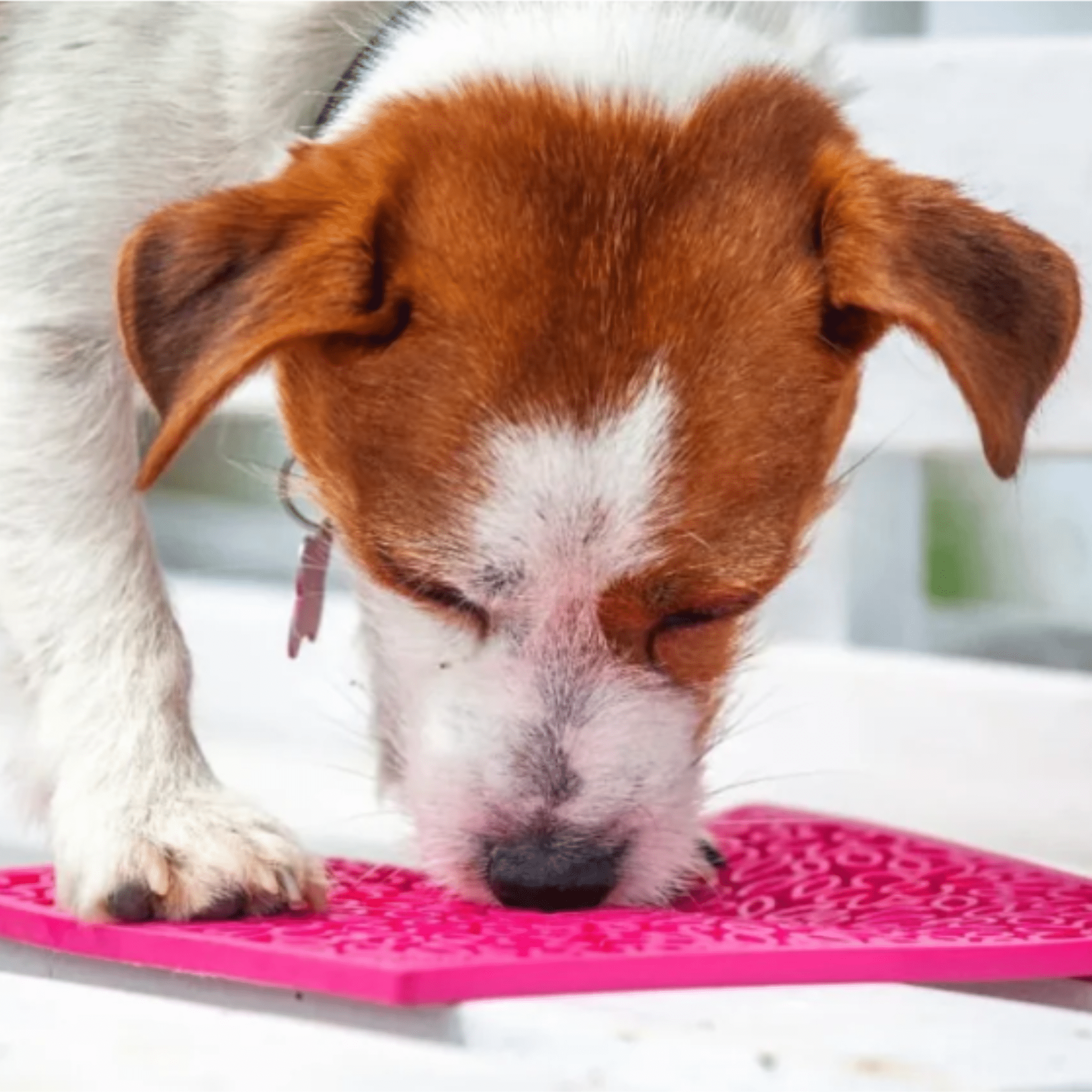 Lick Mats for Cats and Small Dogs - Boske.store