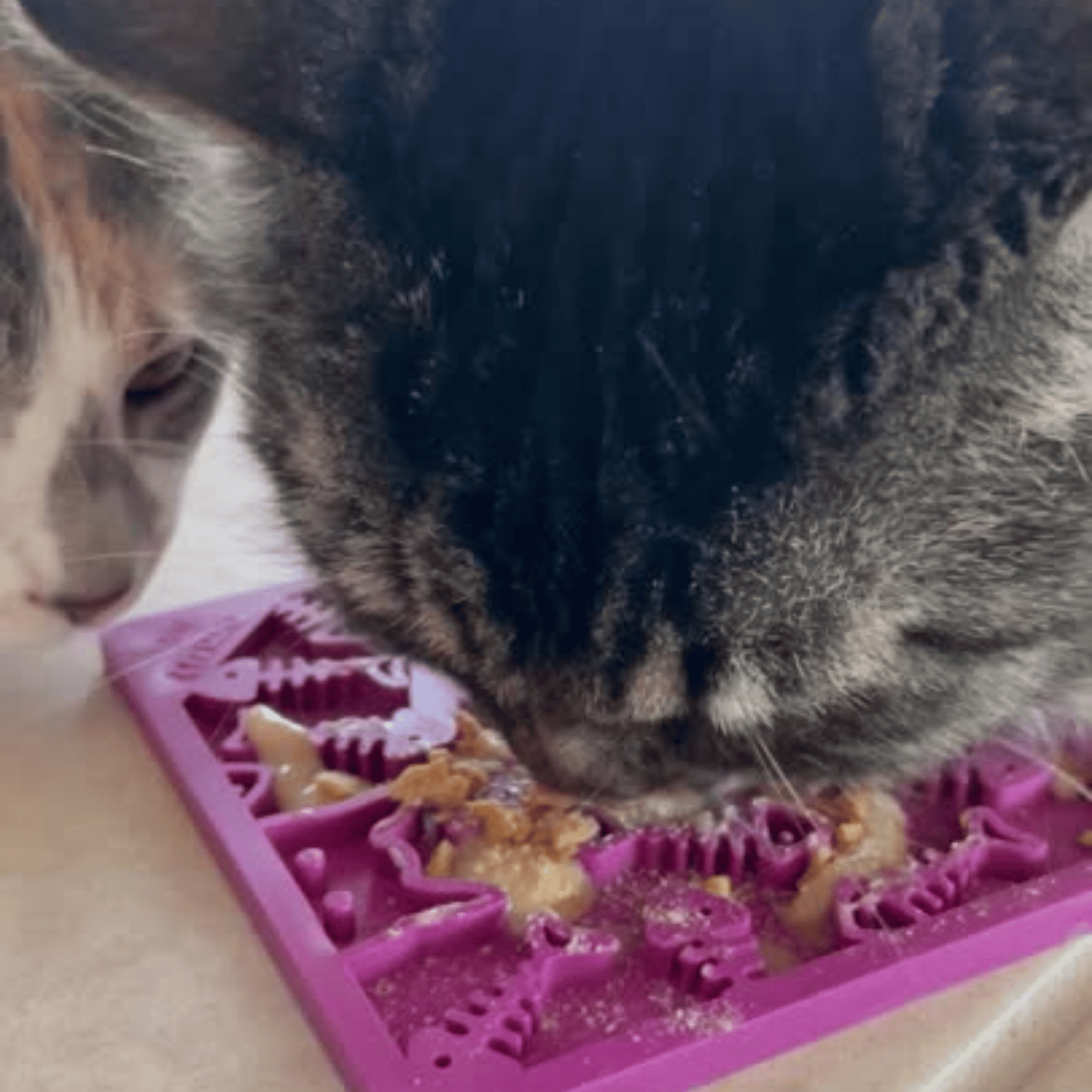 Lick Mats for Cats and Small Dogs - Boske.store