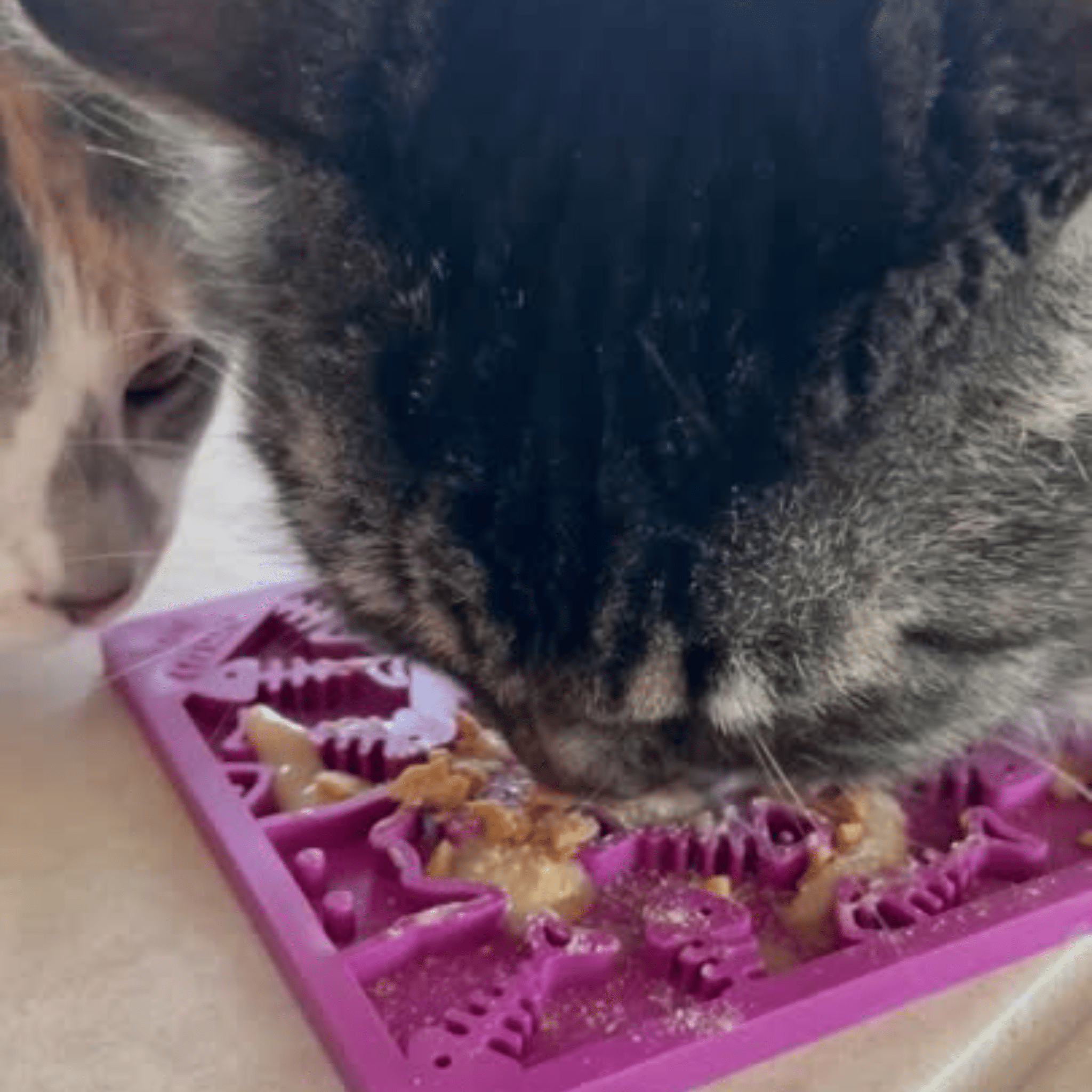 Lick Mats for Cats and Small Dogs - Boske.store