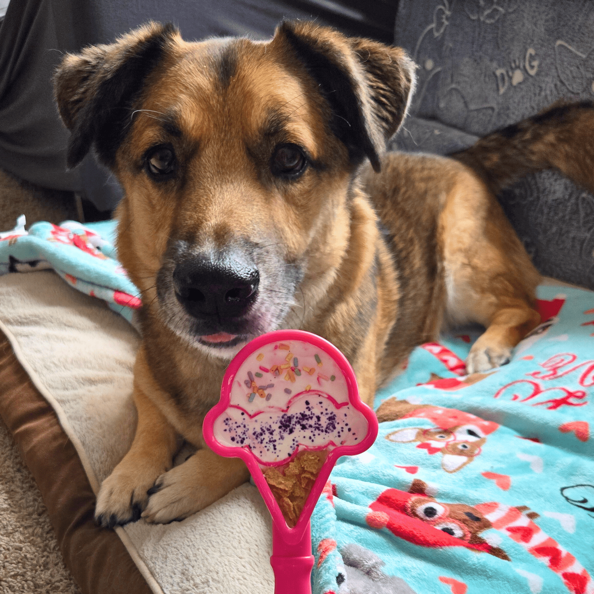 Lick Sticks | Interactive Dog Training Toy - Boske.store