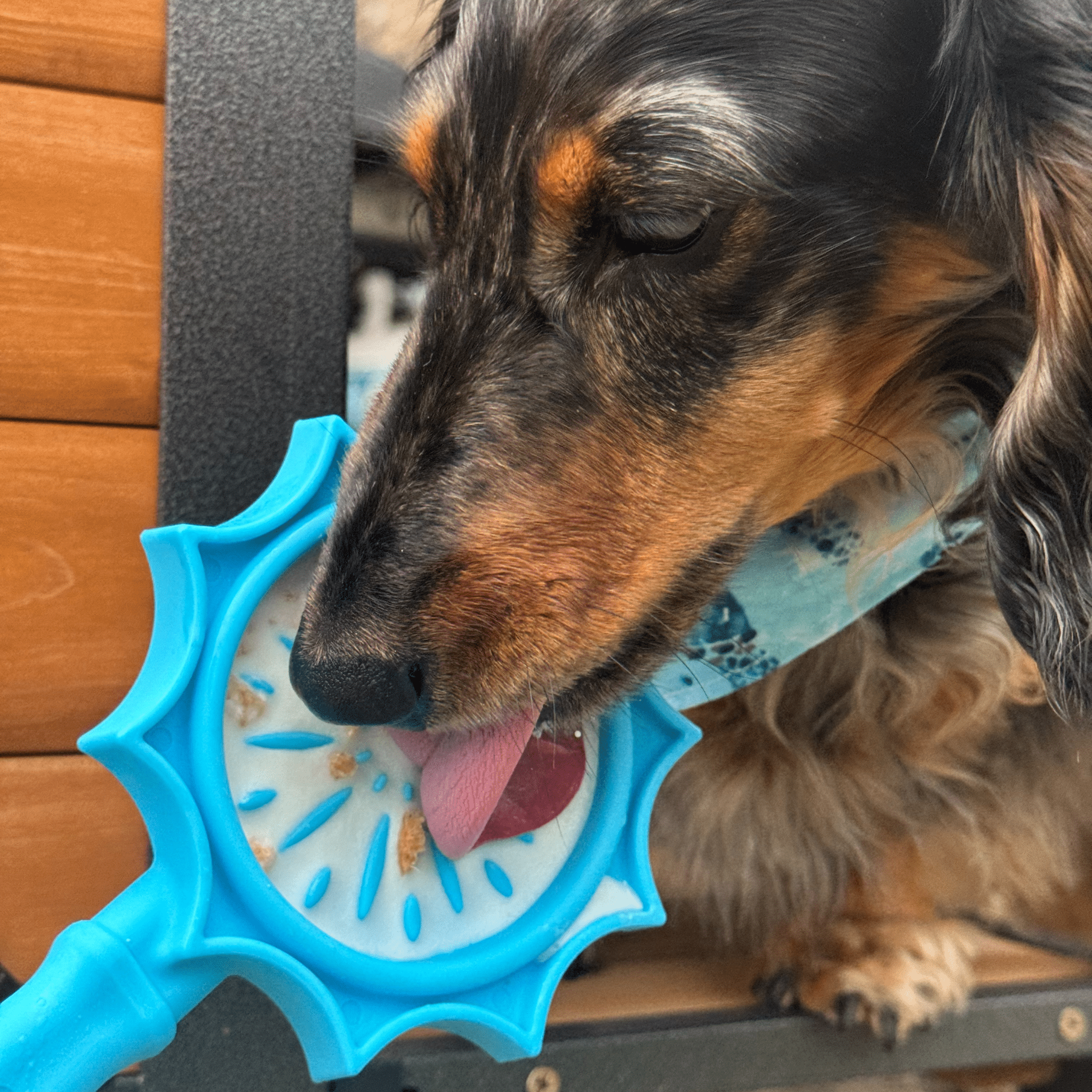Lick Sticks | Interactive Dog Training Toy - Boske.store