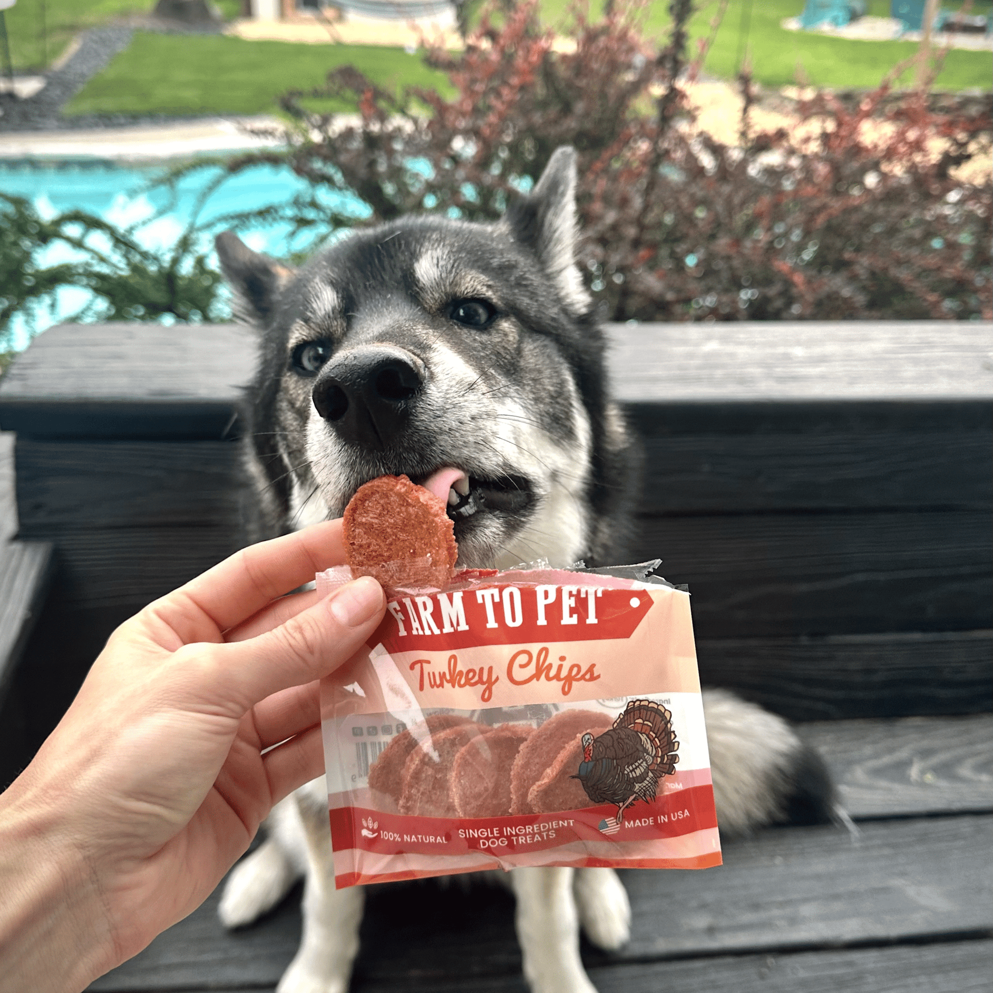 Turkey Chips Snack Pack Bundles | Low Allergen Treats for Training - Boske.store
