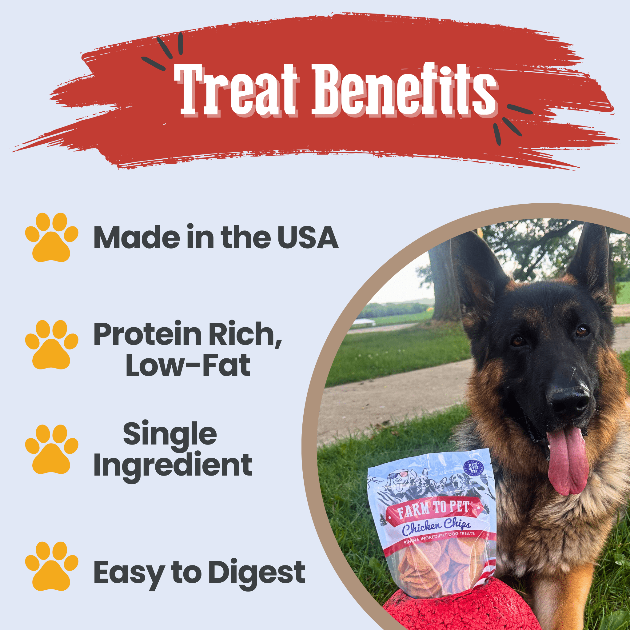 Americana Chicken Chips for Dogs | Celebrate with USA - made Dog Treats - Boske.store
