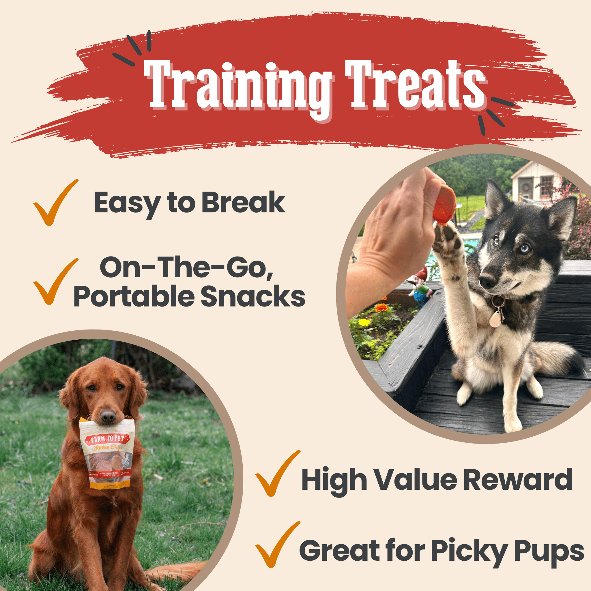 Turkey & Chicken Chip Dog Treat Duo | Single - Ingredient Poultry Treats for Dogs - Boske.store