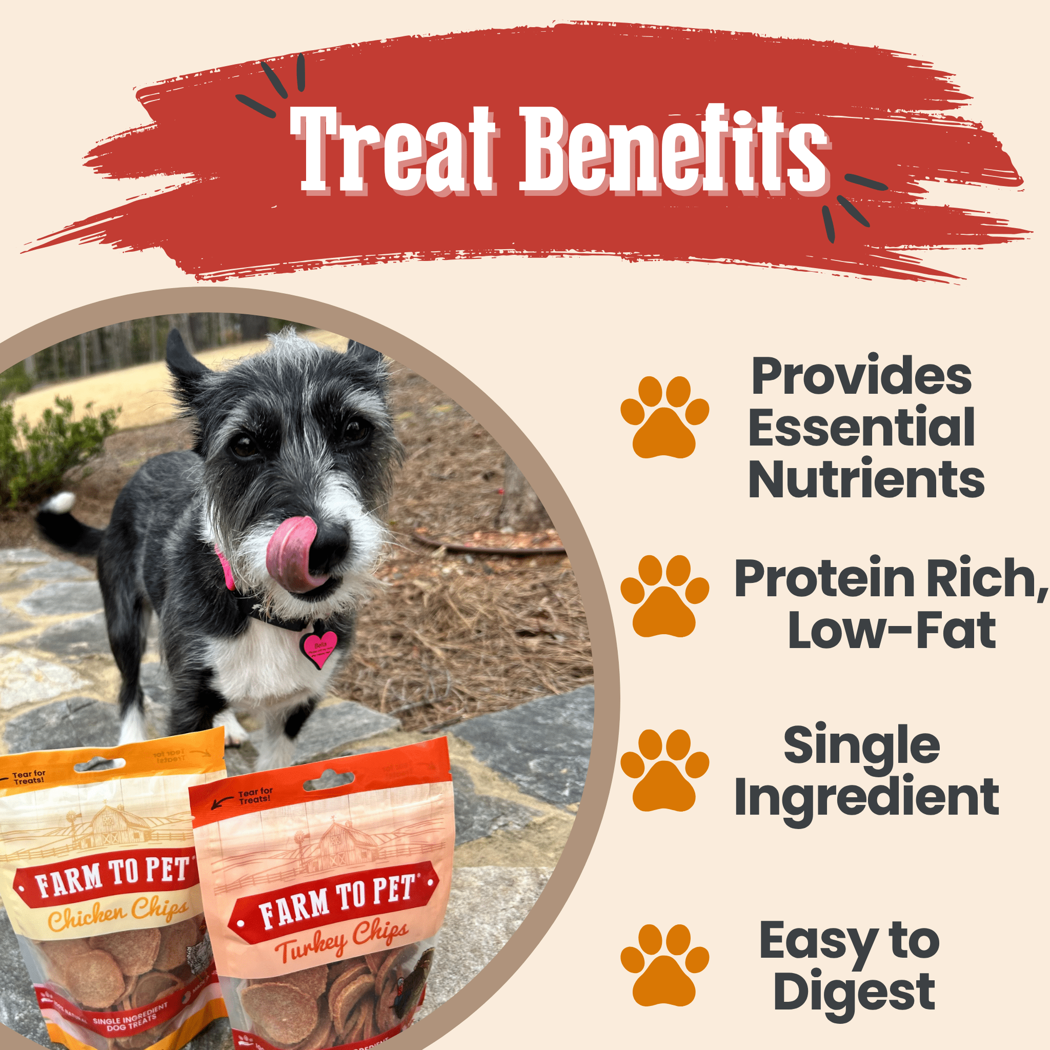 Turkey & Chicken Chip Dog Treat Duo | Single - Ingredient Poultry Treats for Dogs - Boske.store