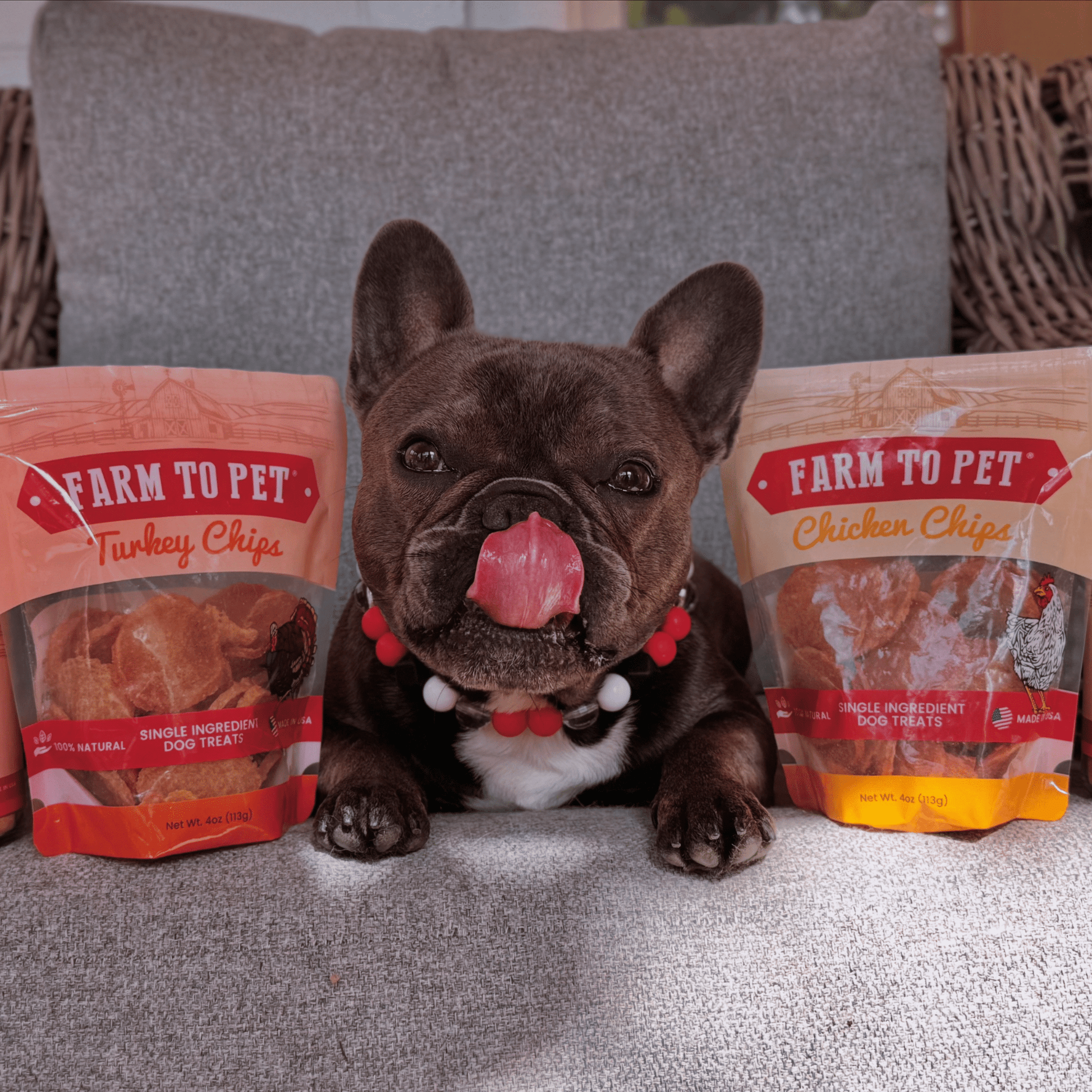 Turkey & Chicken Chip Dog Treat Duo | Single - Ingredient Poultry Treats for Dogs - Boske.store