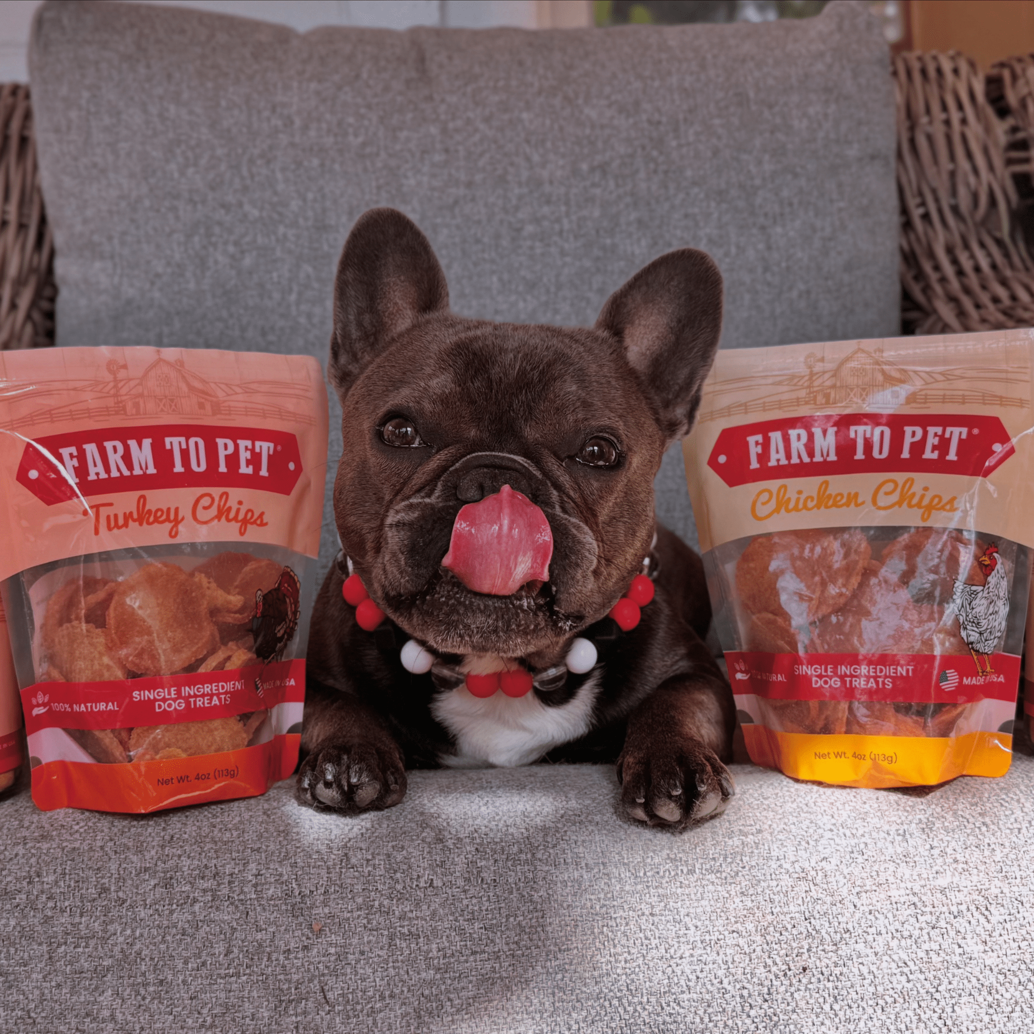 Turkey & Chicken Chip Dog Treat Duo | Single - Ingredient Poultry Treats for Dogs - Boske.store