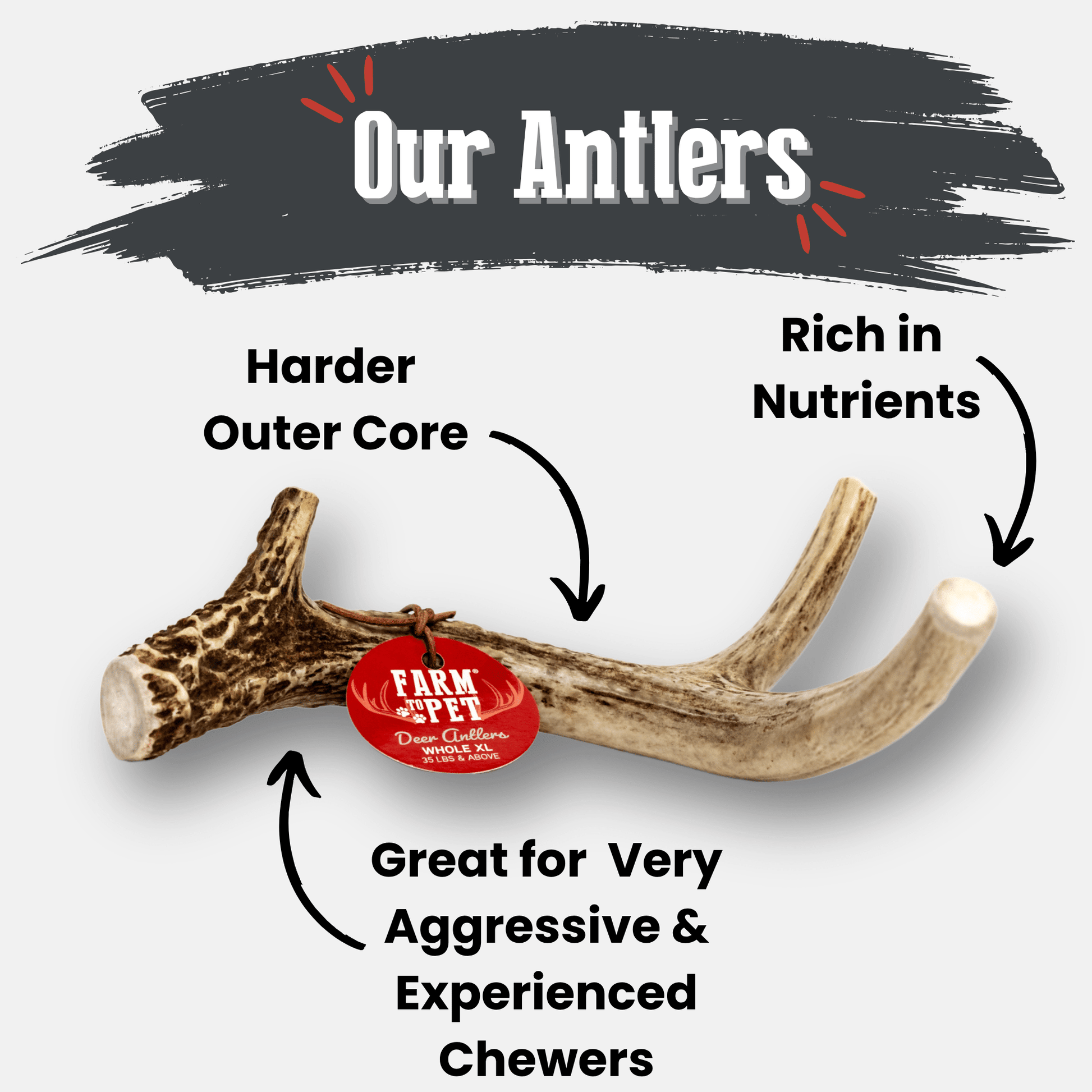 Deer Antler Dog Chews | Organic Chews for Dogs - Boske.store