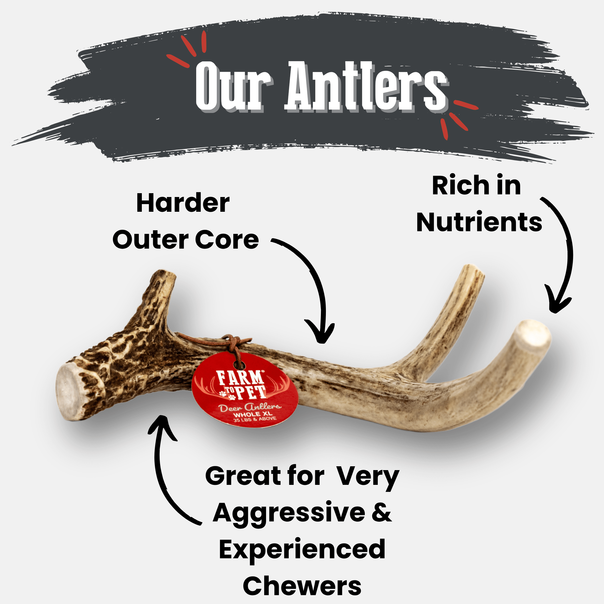 Deer Antler Dog Chews | Organic Chews for Dogs - Boske.store