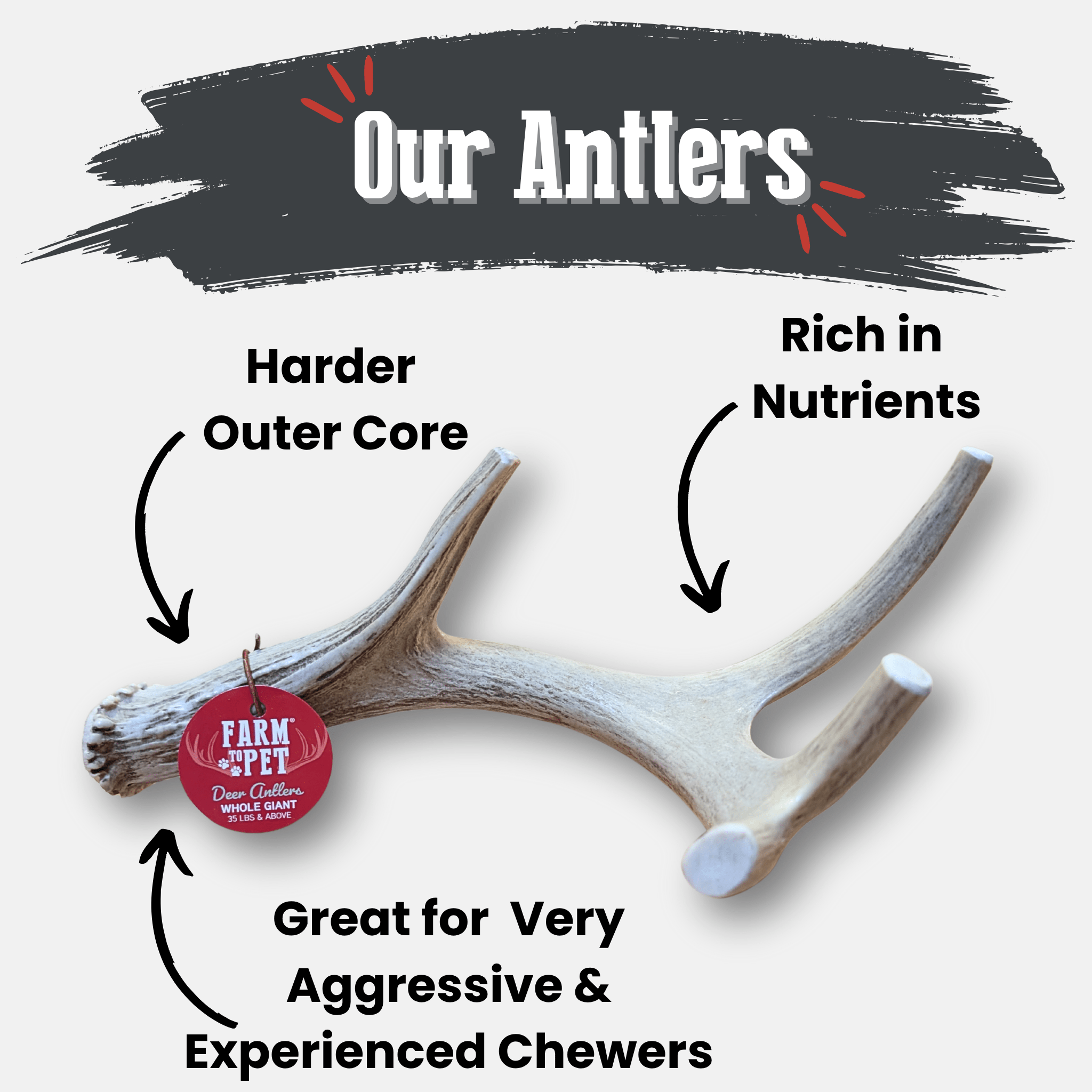 Deer Antler Dog Chews | Organic Chews for Dogs - Boske.store